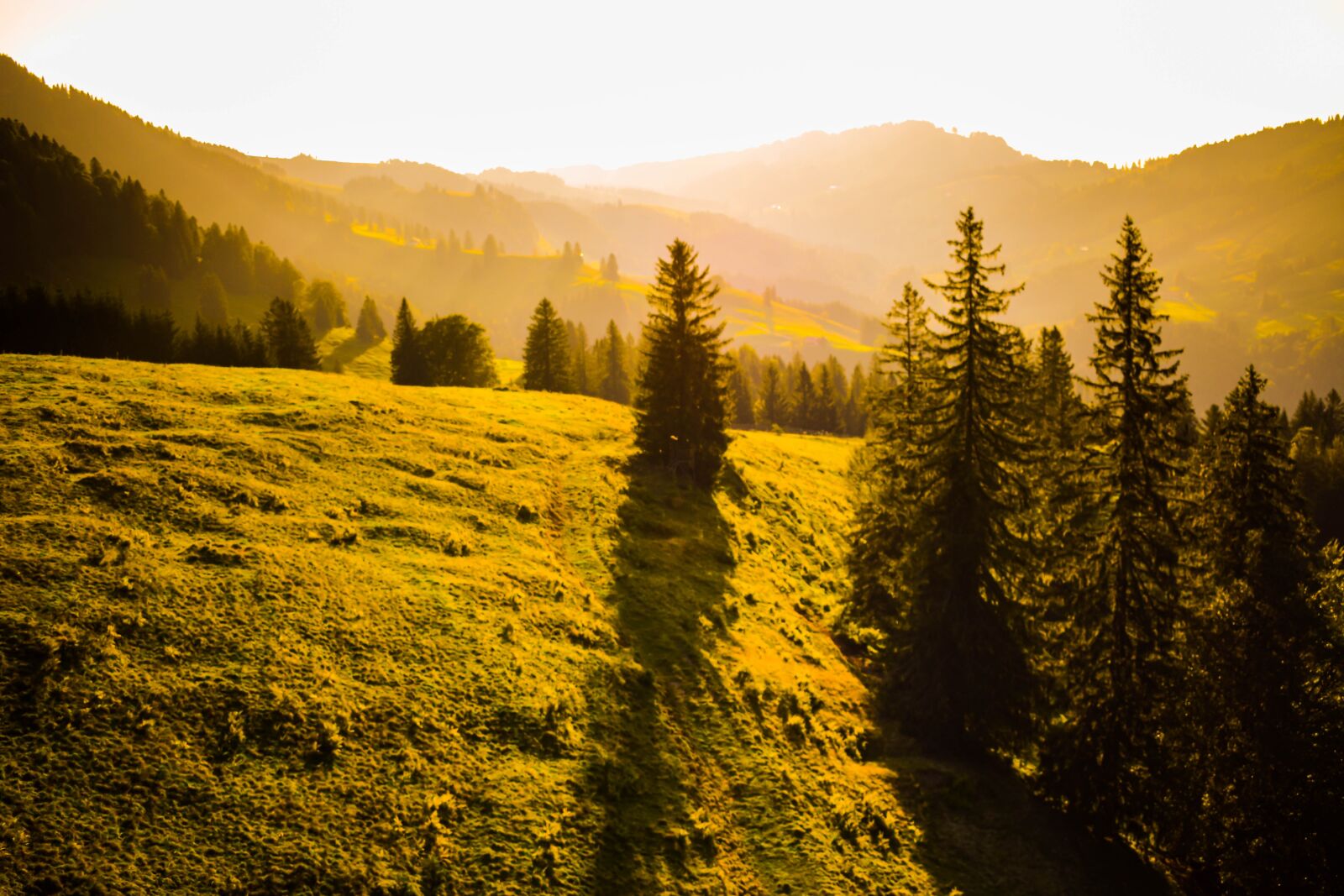 Nikon D3400 sample photo. Germany, alps, wallpaper photography