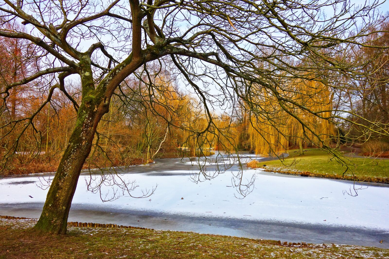 Sony Cyber-shot DSC-RX100 sample photo. Pond, ice, frozen photography