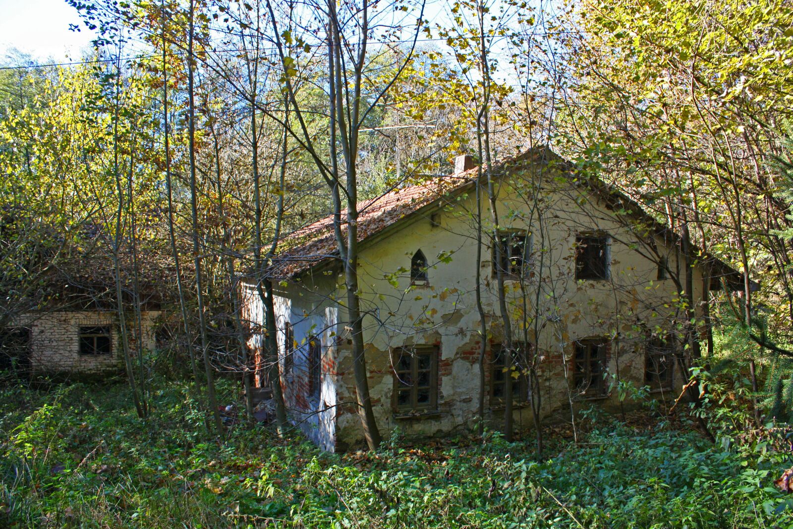Canon EOS 450D (EOS Rebel XSi / EOS Kiss X2) sample photo. Ruin, forest, witch's house photography