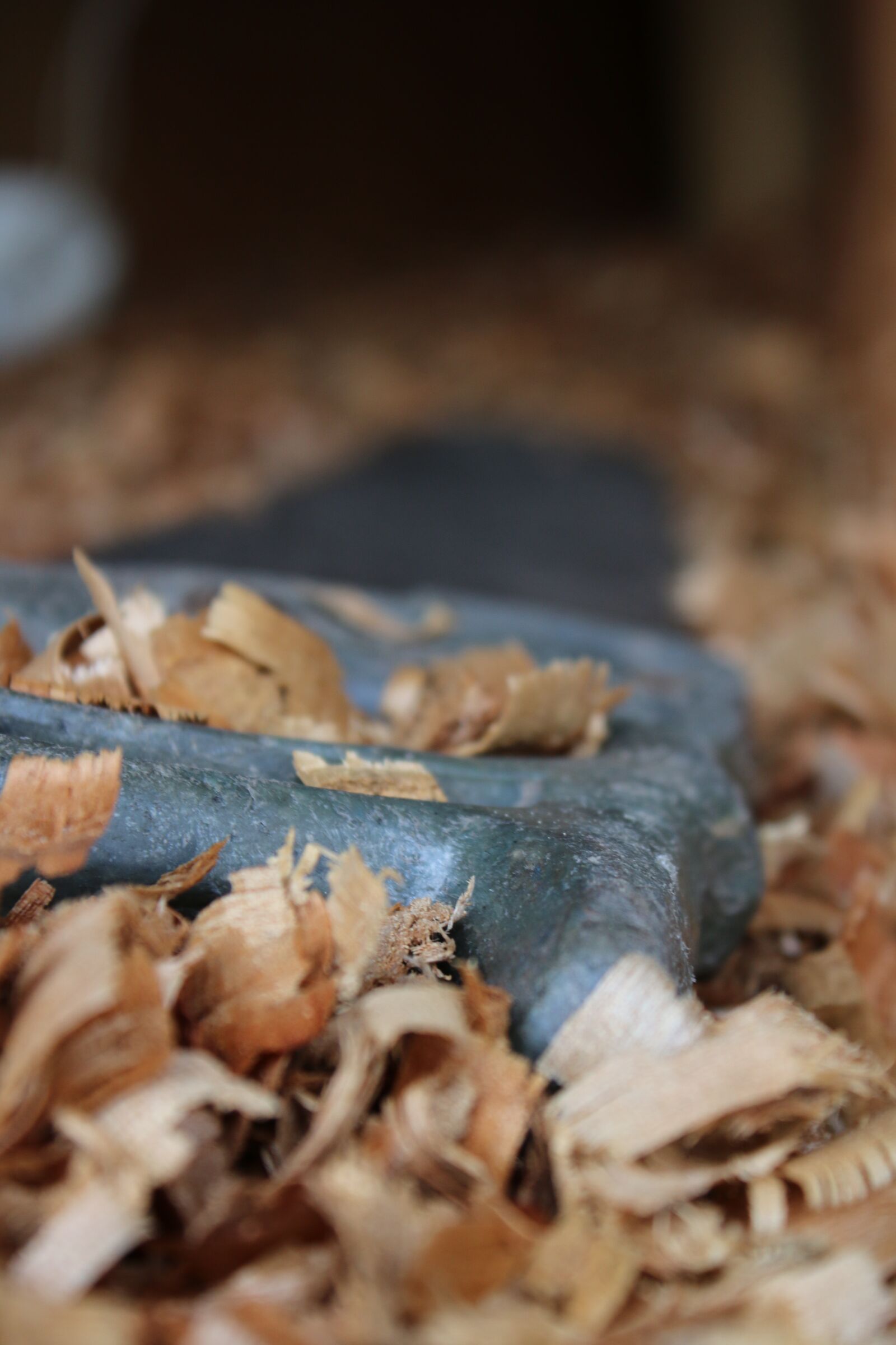 Canon EOS 70D + Canon EF-S 18-55mm F3.5-5.6 IS II sample photo. Wood, chip, texture photography