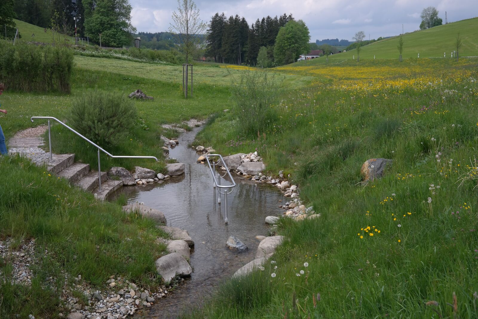Samsung NX300 sample photo. G nz, g nzquelle photography