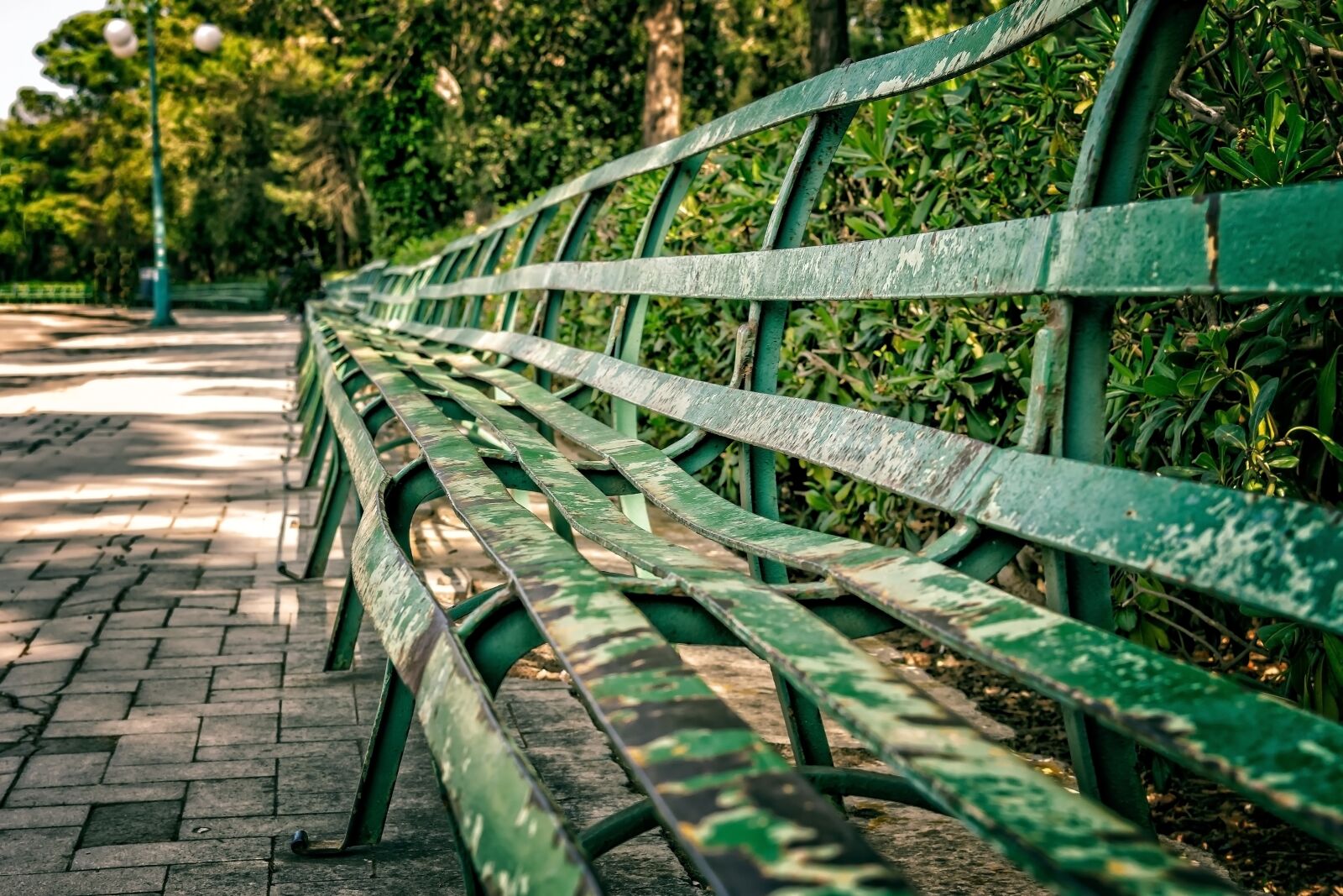 Nikon D3300 sample photo. Bank, sit, park photography