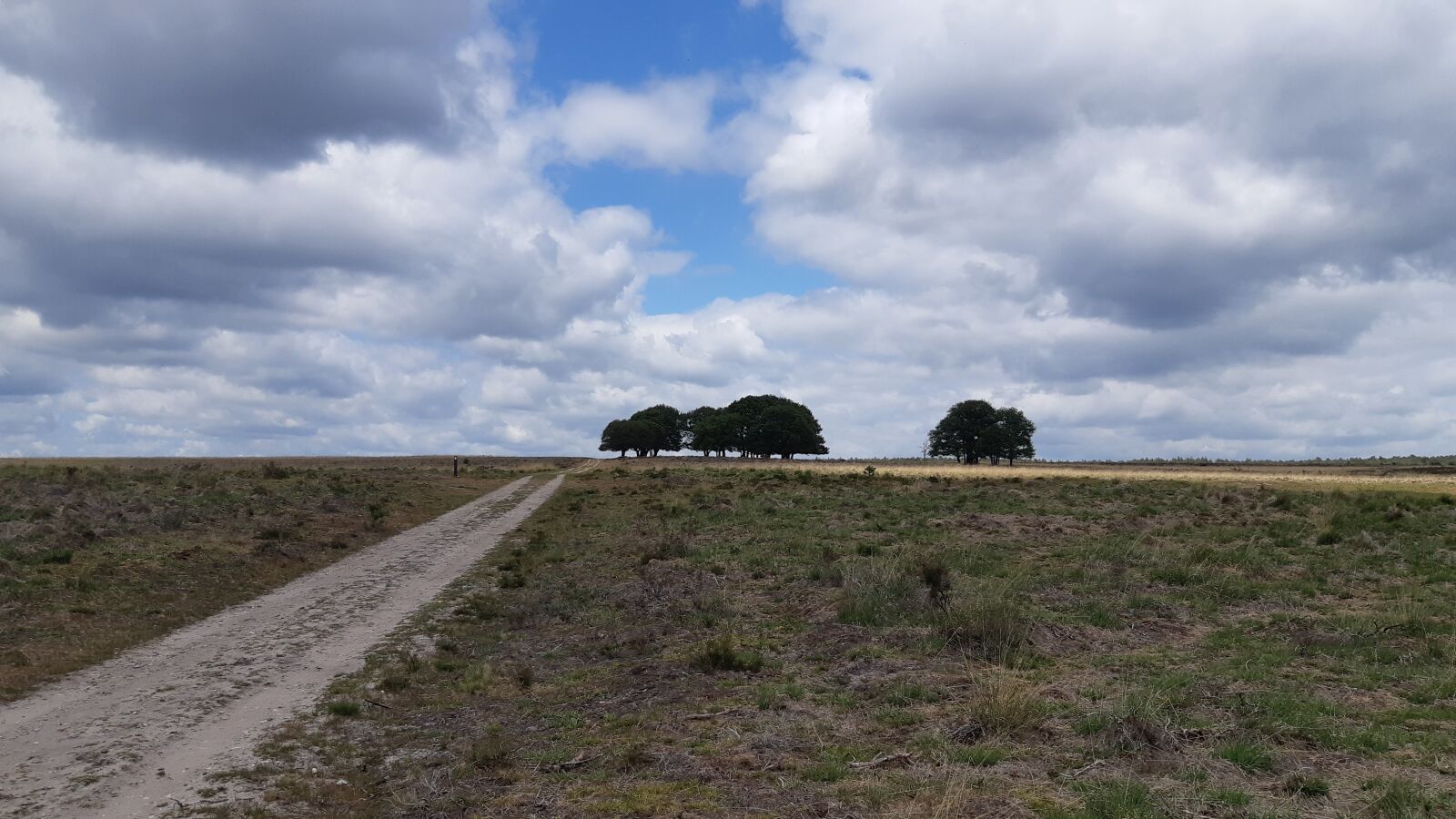 Samsung Galaxy A8(2018) sample photo. Veluwe, nature, landscape photography