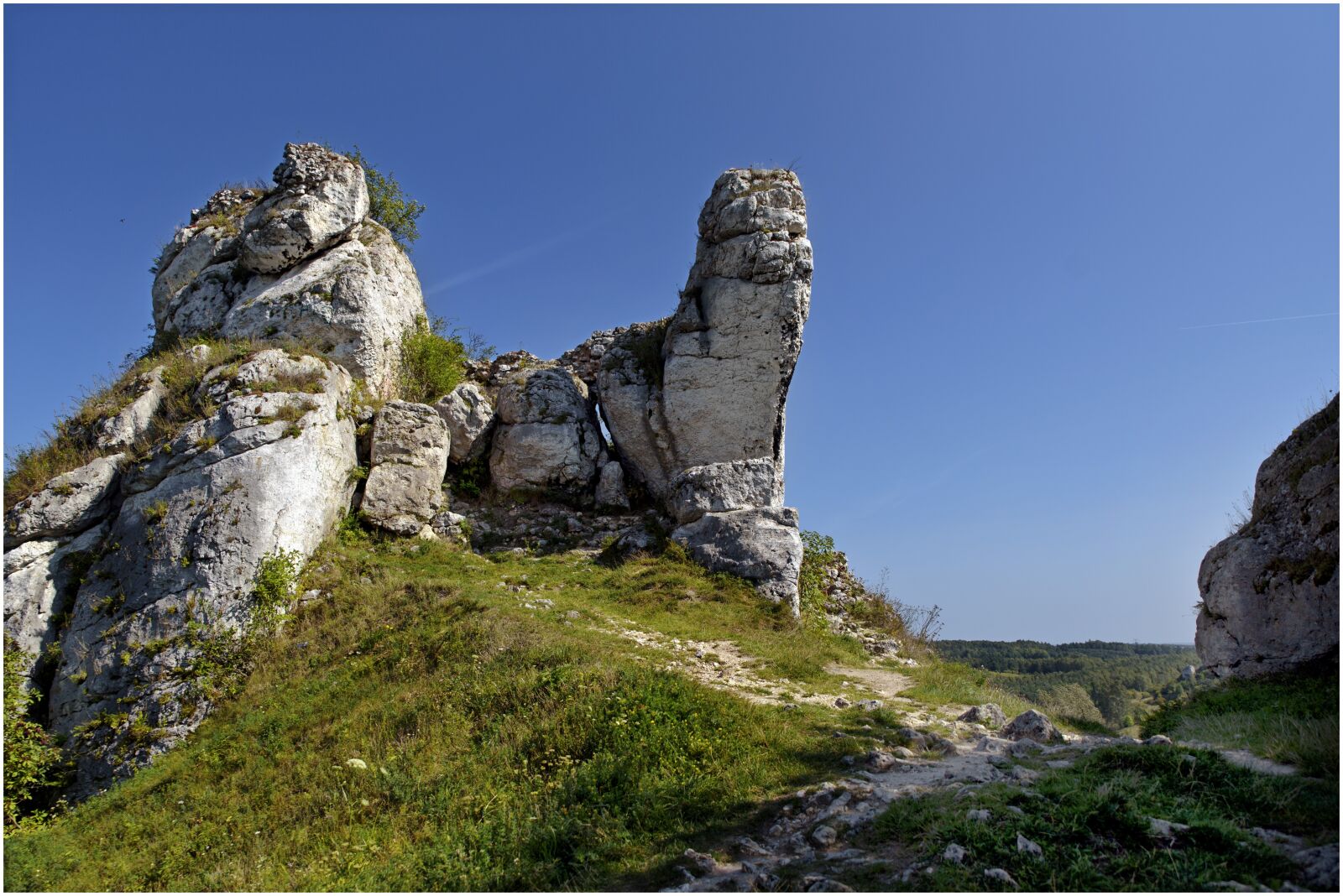 Nikon D750 sample photo. Rock, landscape, grass photography