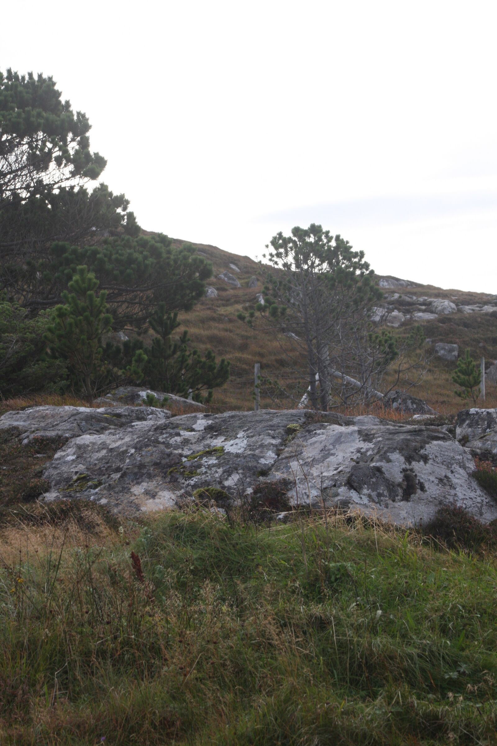 Canon EOS 40D sample photo. Isle of lewis, landscape photography