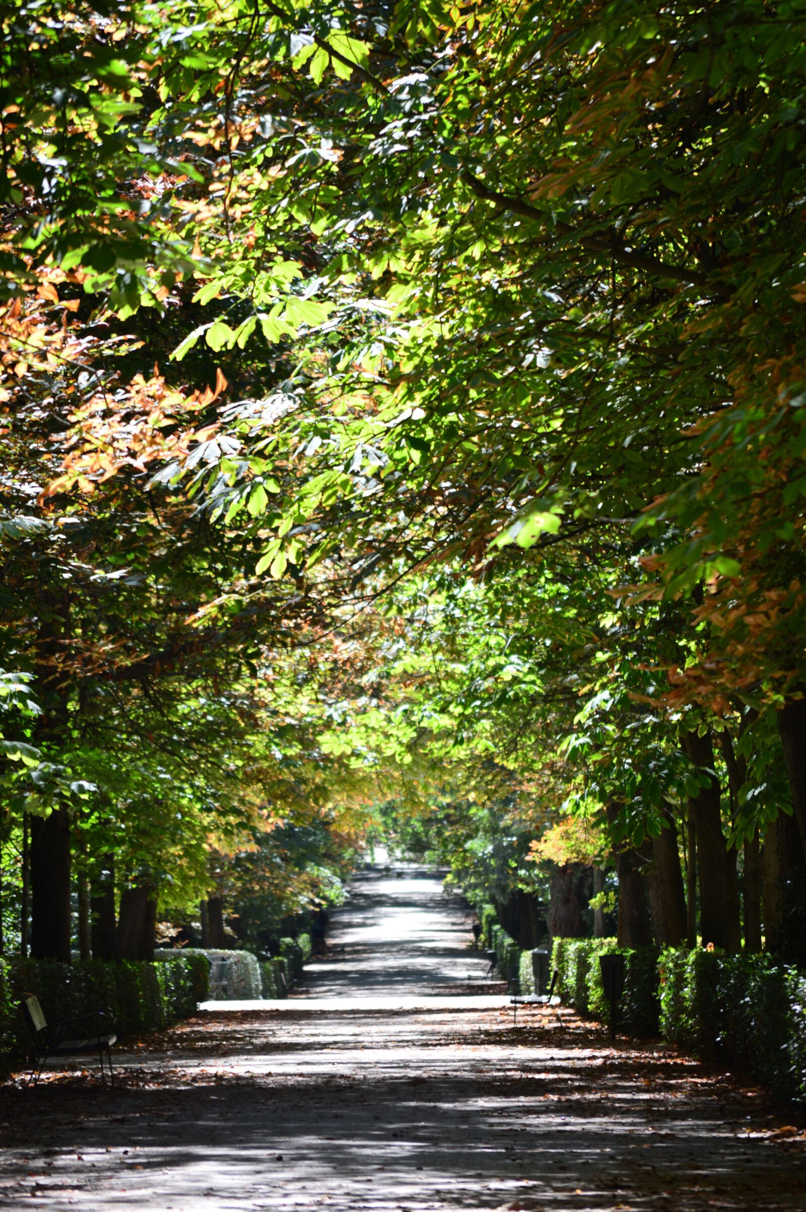 Nikon D3200 sample photo. Madrid, europe, spain photography
