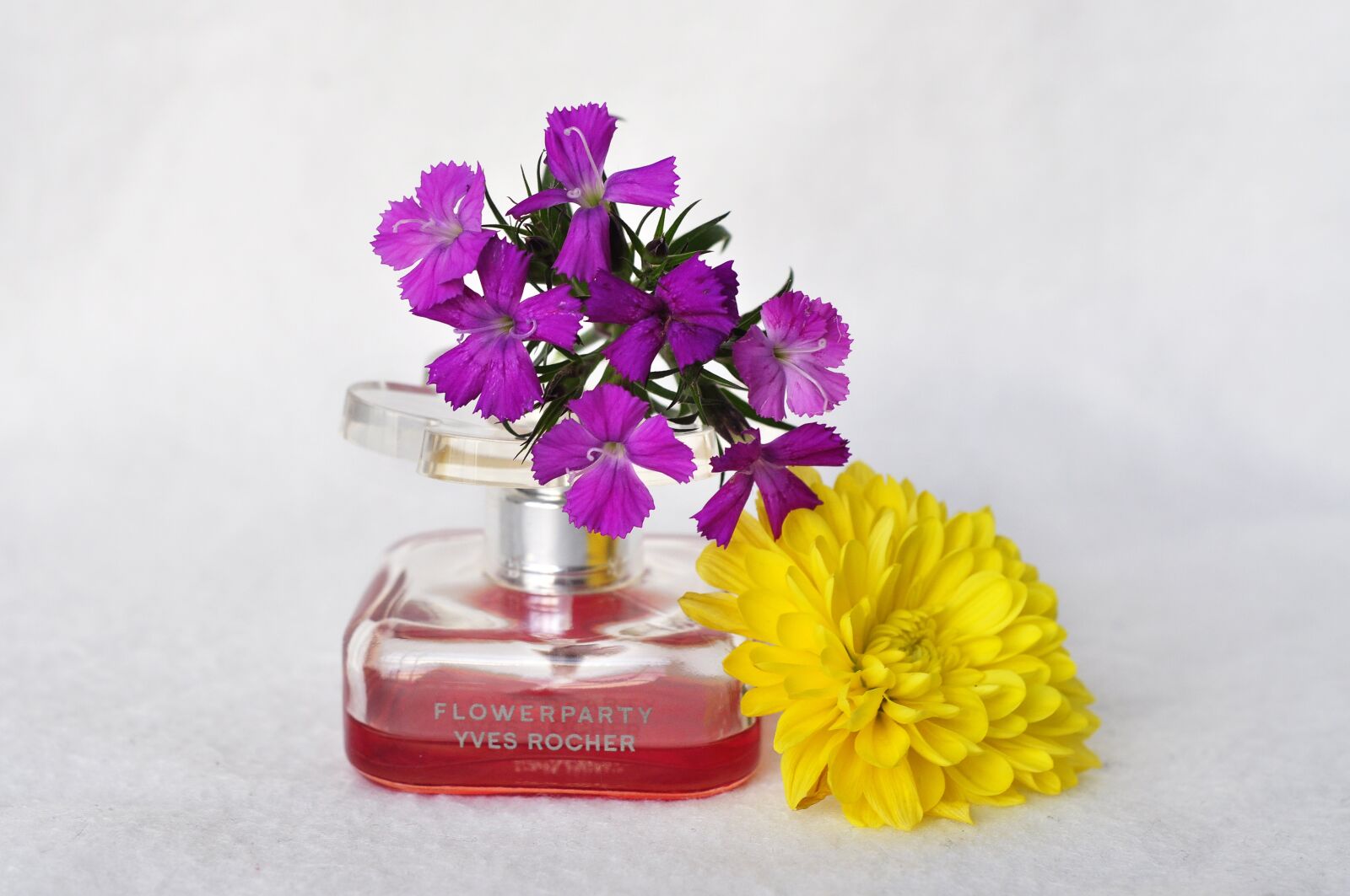 Nikon D5000 sample photo. Aroma, elegant, blossom photography