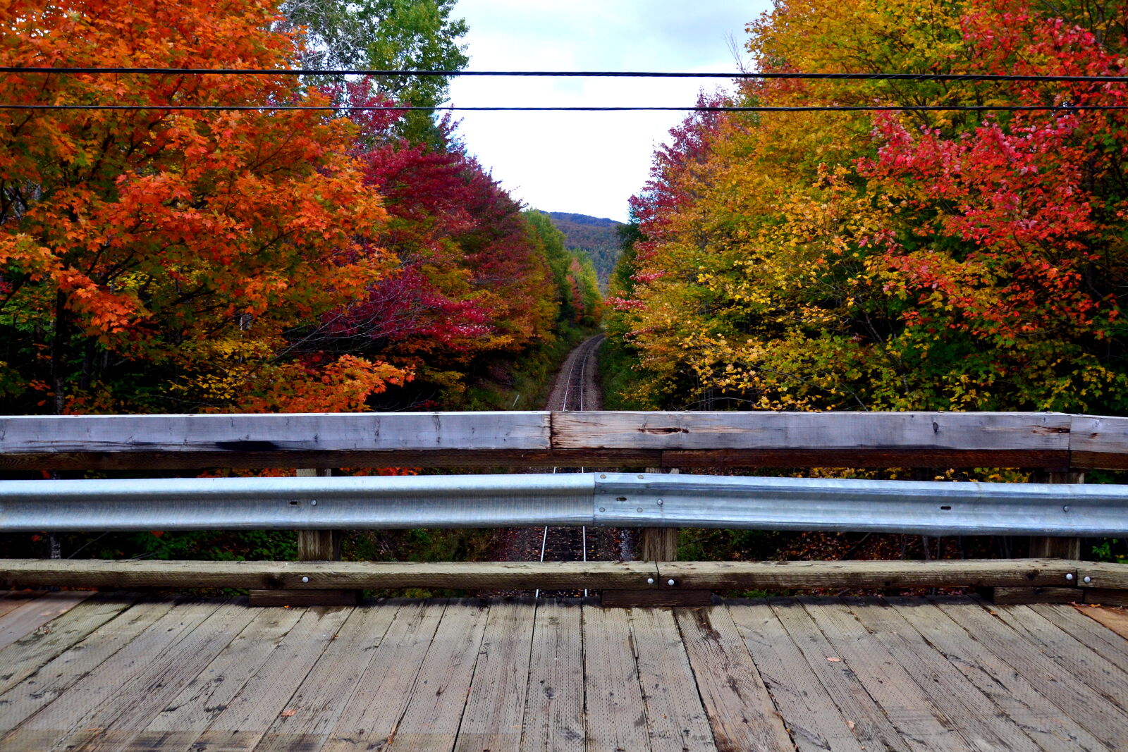 Nikon D3100 sample photo. Autumn, colours, canada, countryside photography