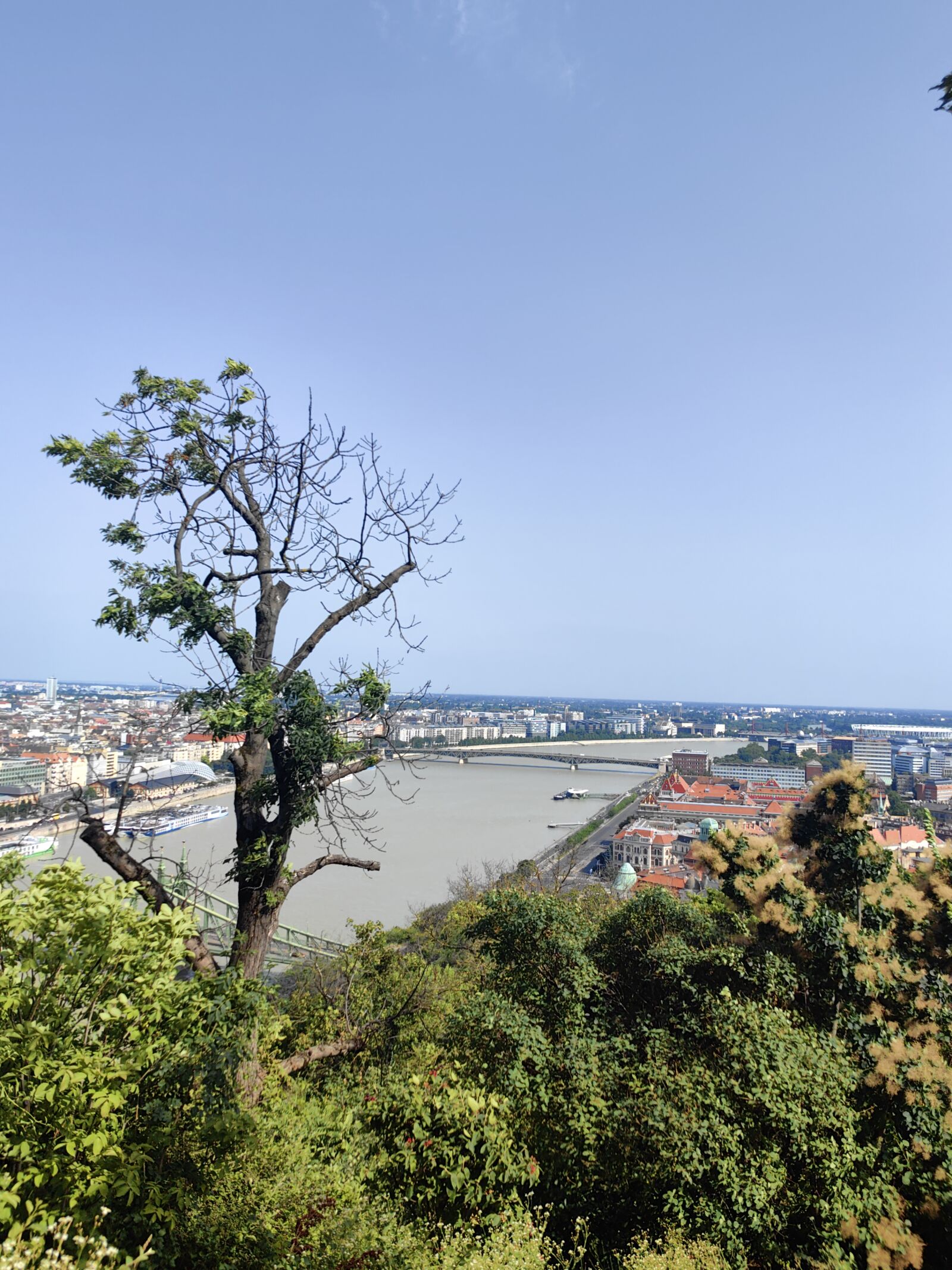 HUAWEI MATE 50 PRO sample photo