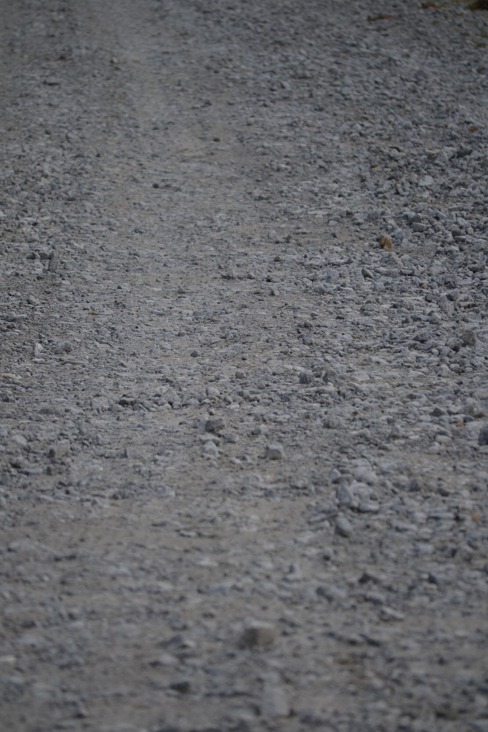 Nikon D3100 sample photo. Path, stones, walk photography