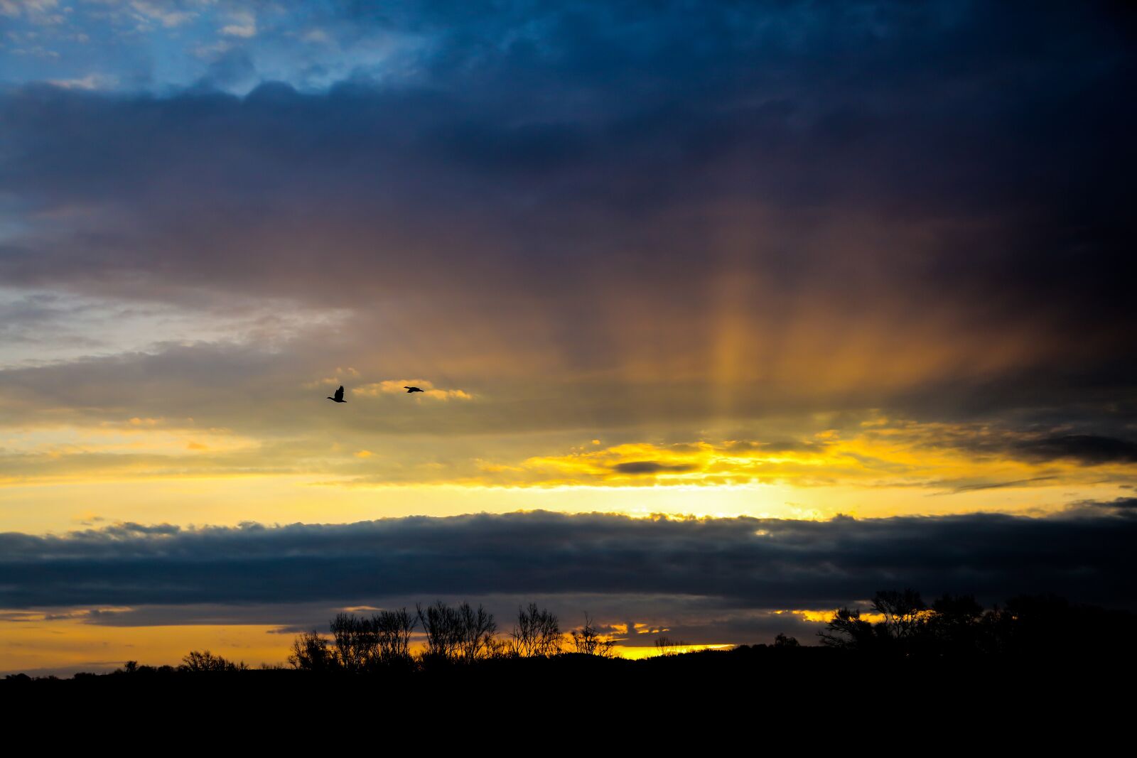 Canon EF 24-105mm F4L IS USM sample photo. Evening, sun, sunset photography