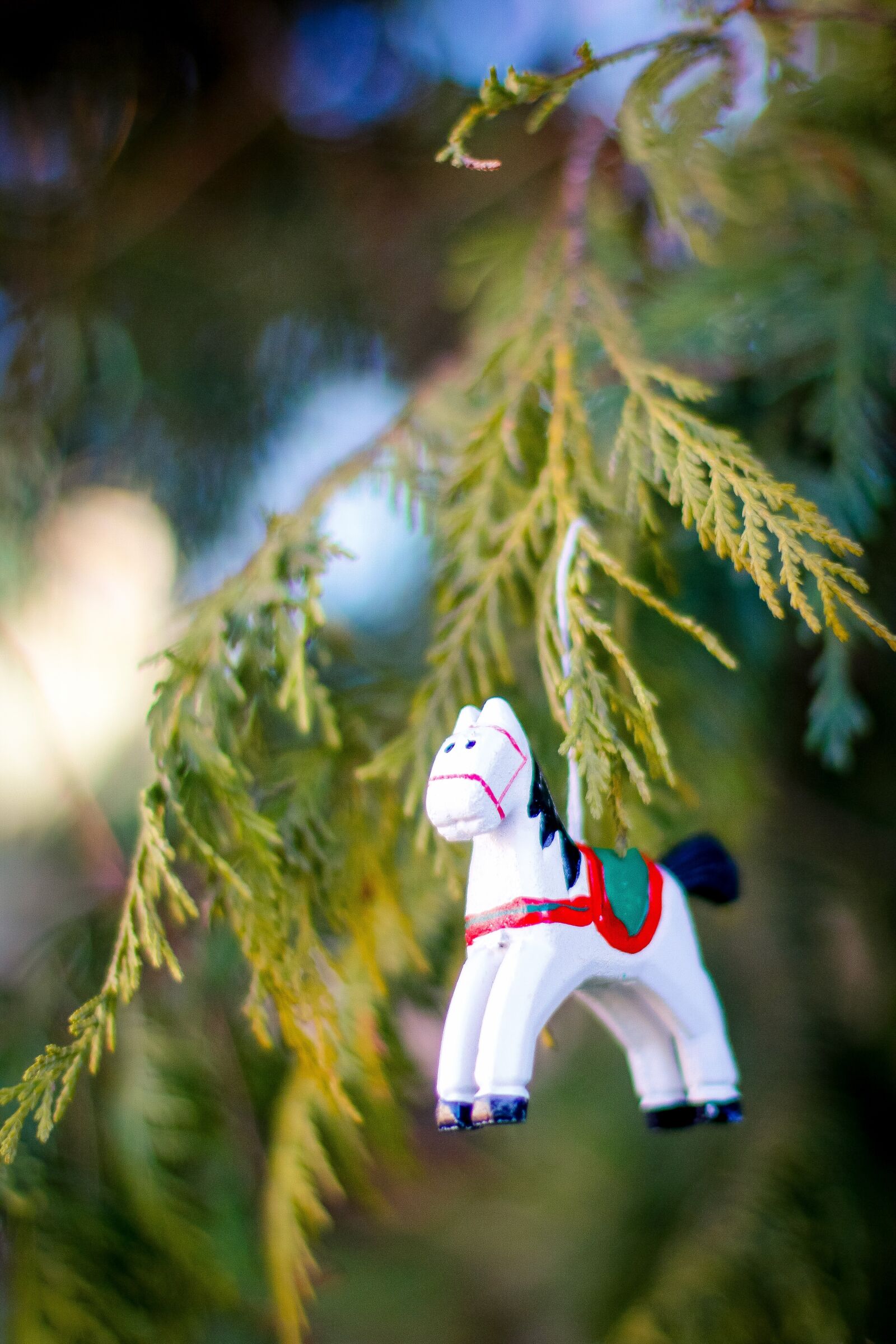 Canon EOS 70D + Canon EF 50mm F1.4 USM sample photo. Winter, tree, color photography