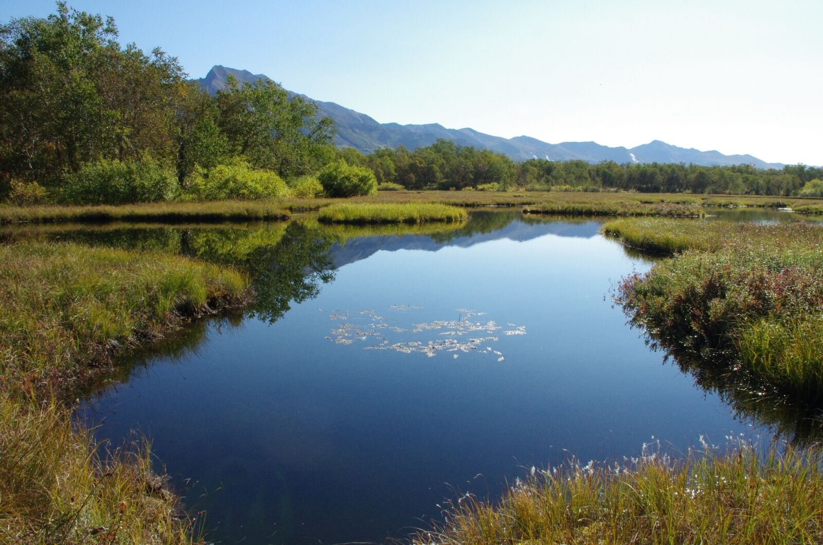 Pentax K-5 sample photo. Forest lake, mountains, forest photography