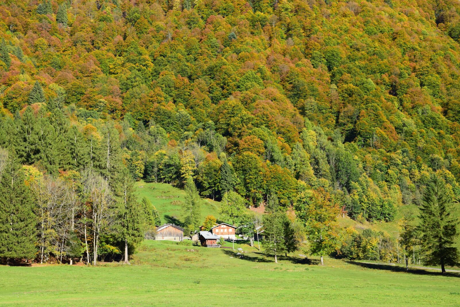 Nikon D5300 sample photo. Chalet, mountain, fall photography