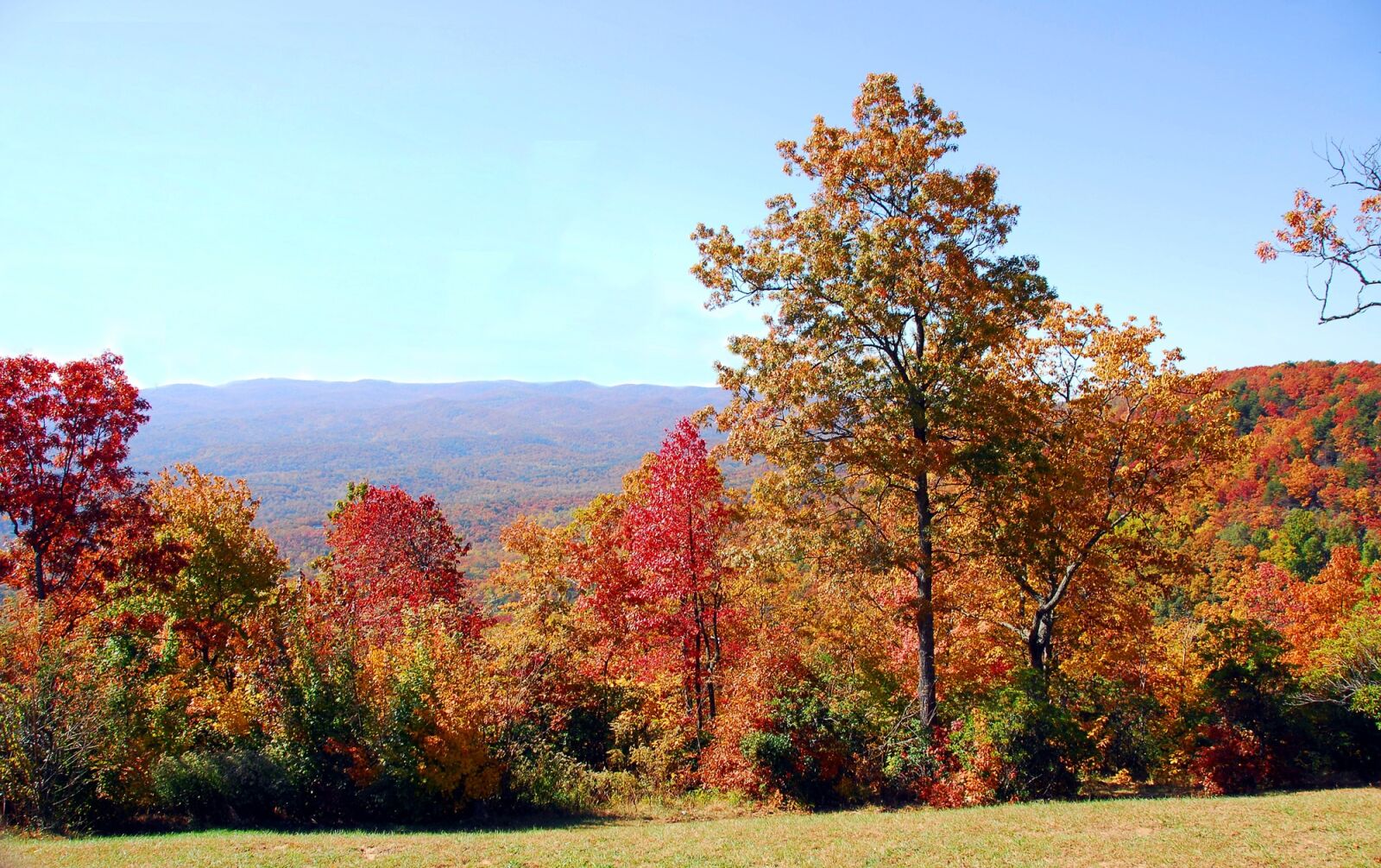 Nikon D200 sample photo. Fall colors, autumn, vibrant photography