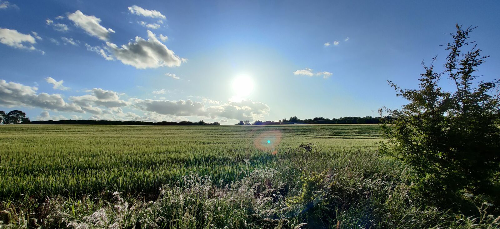 OnePlus GM1913 sample photo. Sunset, field, countryside photography