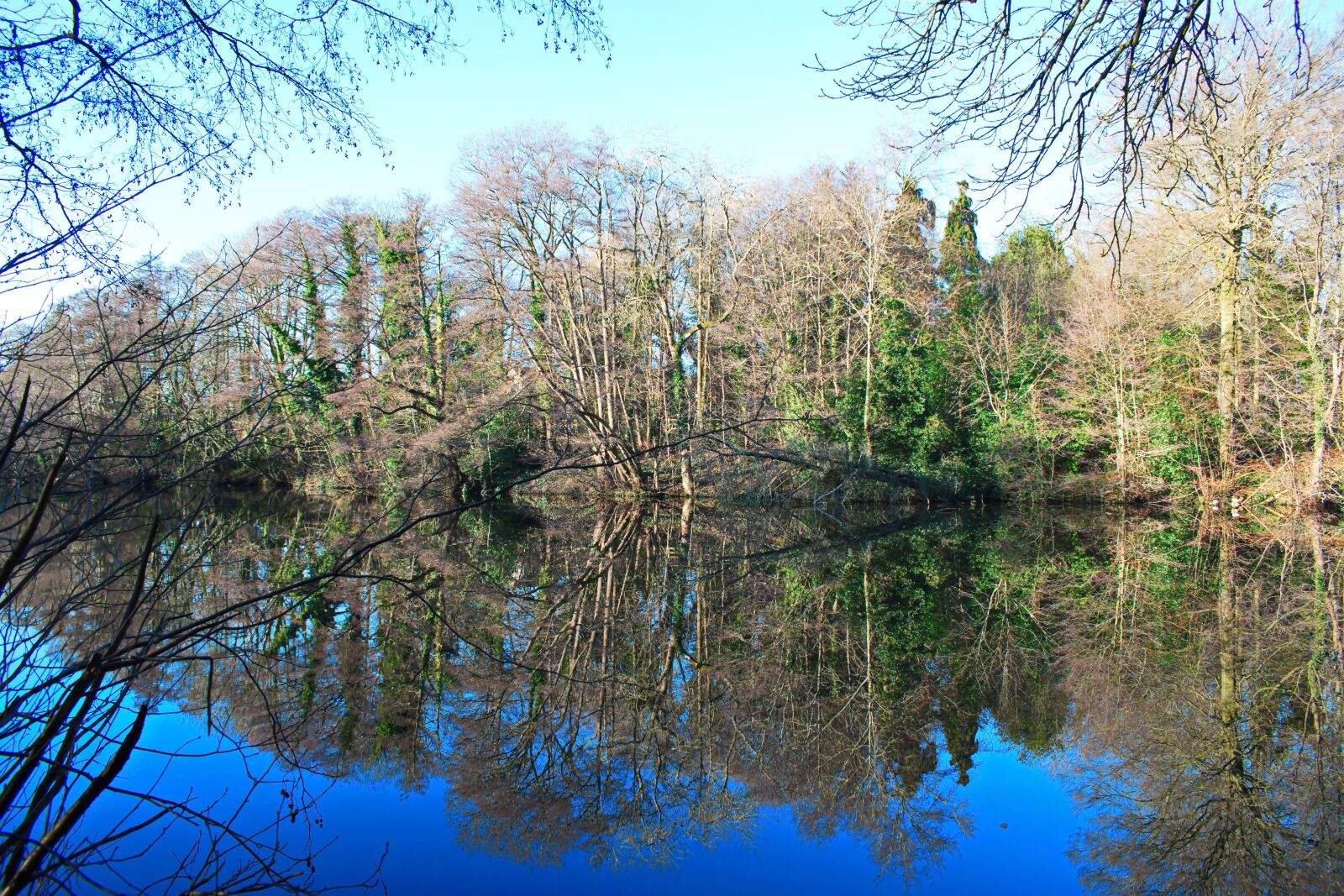 Nikon D3300 sample photo. Reflections of december, reflection photography