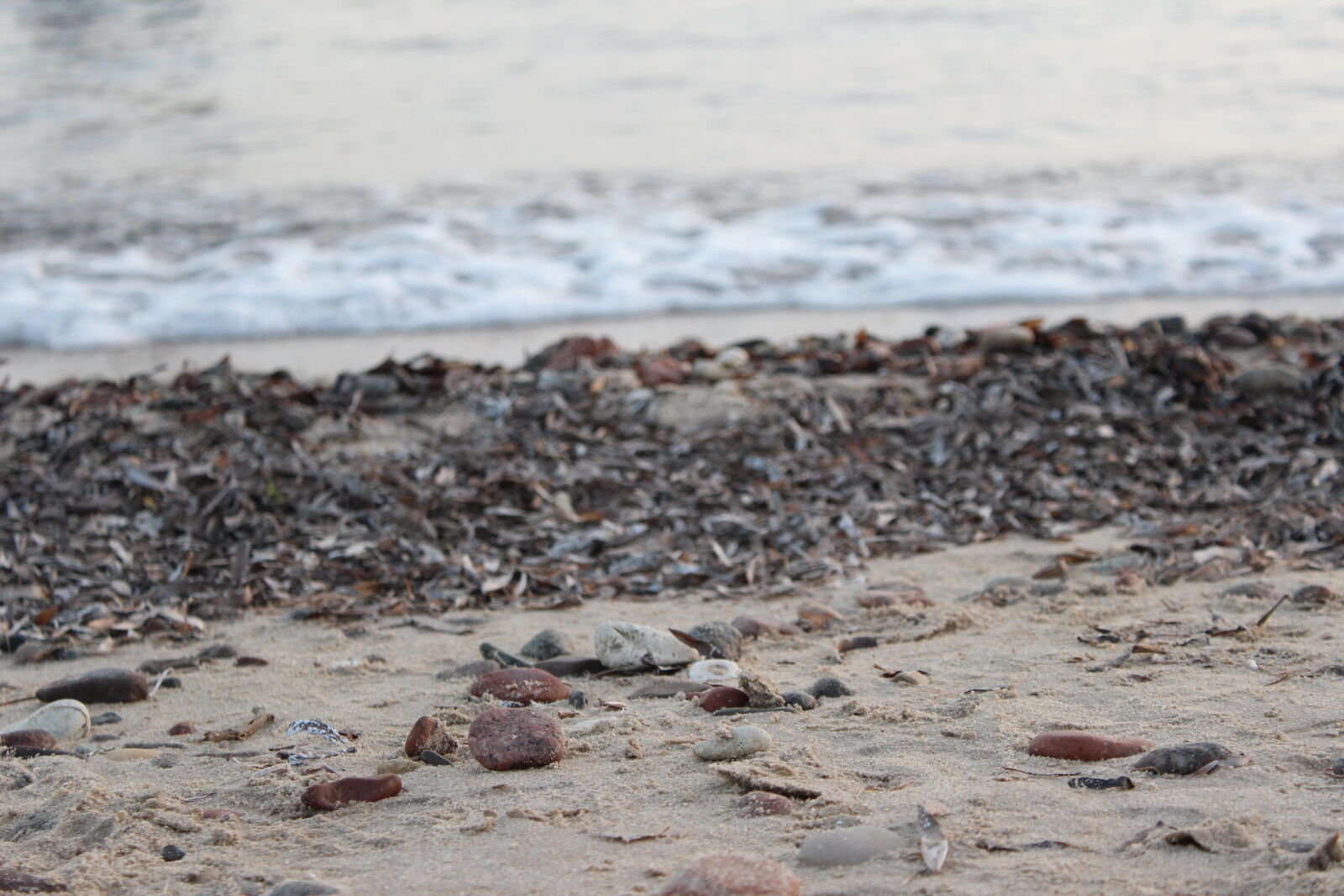 Canon EOS 600D (Rebel EOS T3i / EOS Kiss X5) sample photo. Nature, nature, photography, rock photography