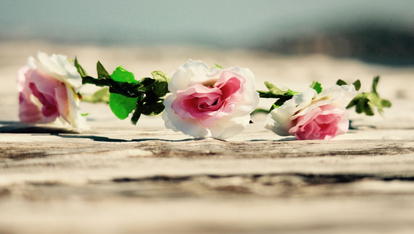 Canon EOS M sample photo. Chaplet, flowers, lightness photography