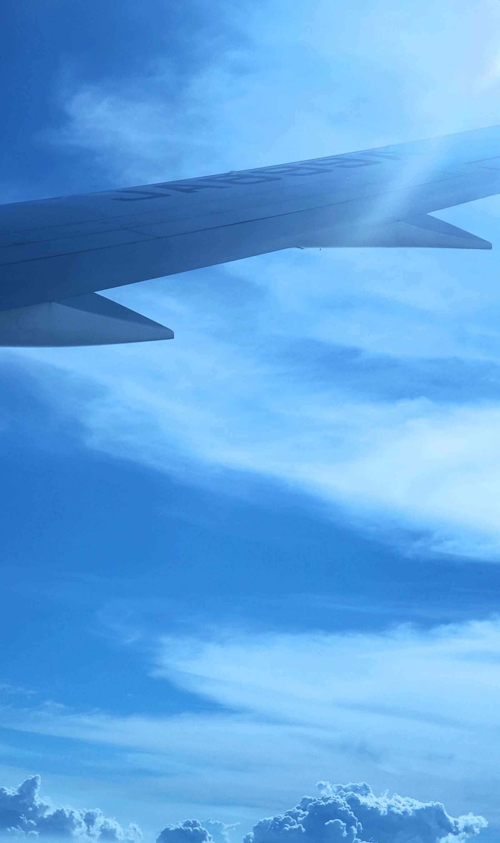 Samsung Galaxy Note9 sample photo. Boeing 787, blue sky, flying photography