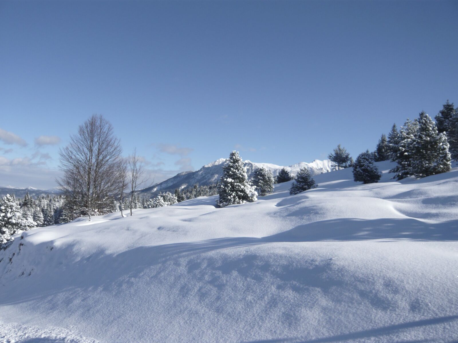 Panasonic DMC-FX55 sample photo. Snow, mountains, sky photography