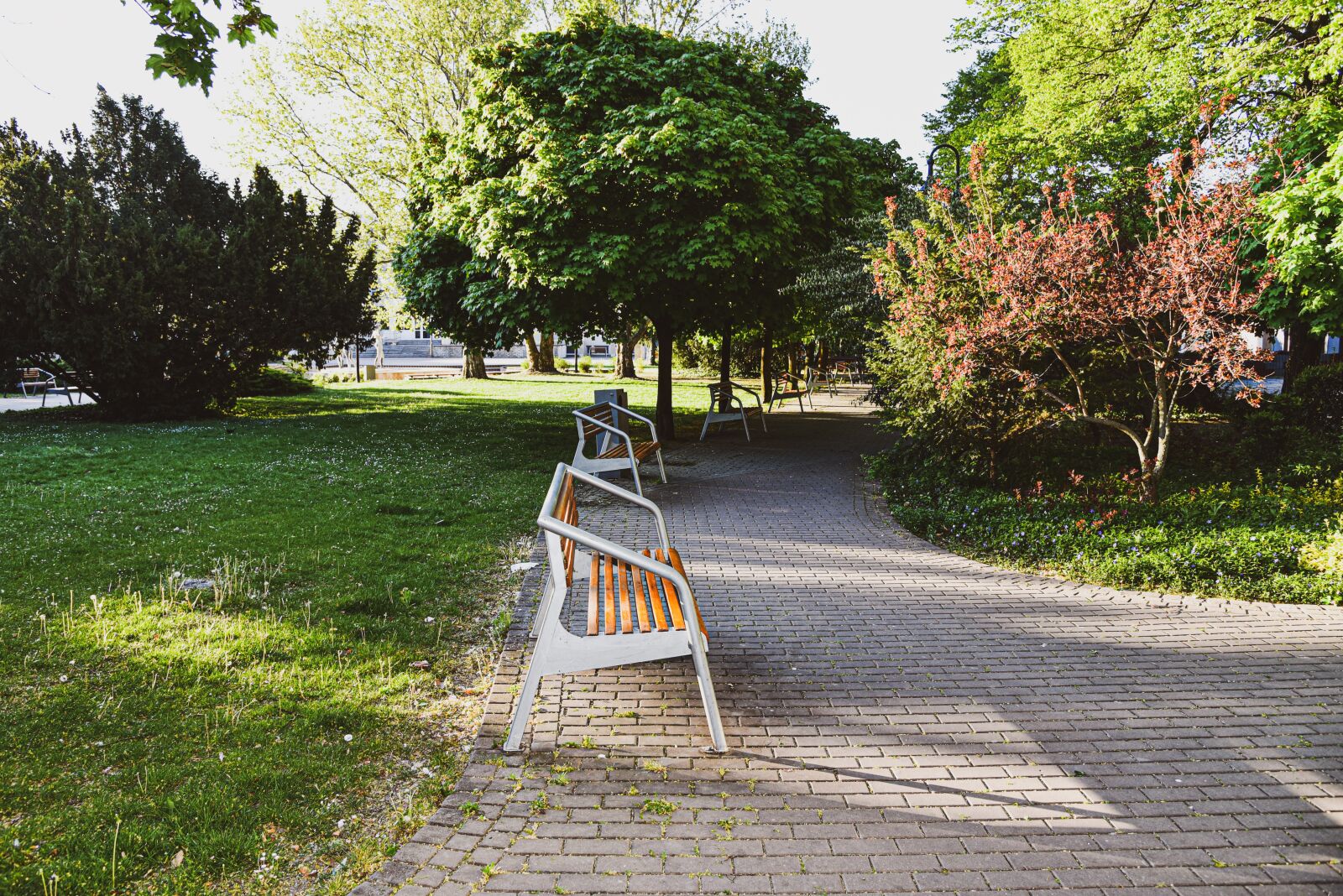 Nikon D750 sample photo. Park, tavasz, spring photography
