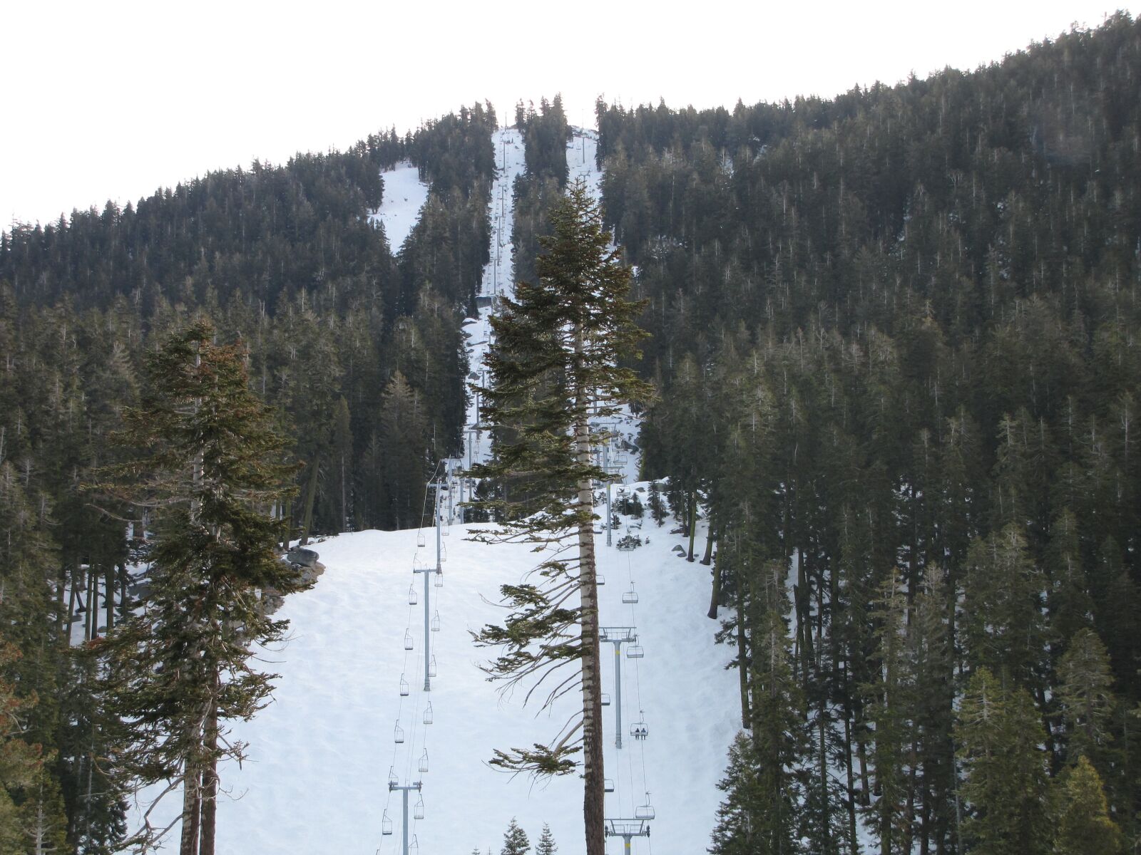 Canon PowerShot SX1 IS sample photo. Snow, hill, nature photography