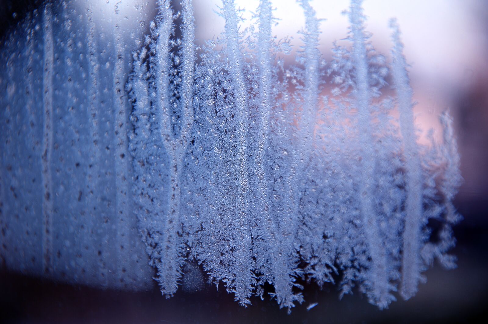 Nikon D3200 sample photo. Hardest, frost, window photography