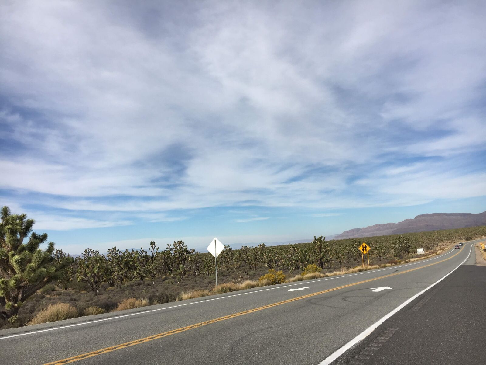 Apple iPhone 6s sample photo. Arizona, desert, arizona desert photography