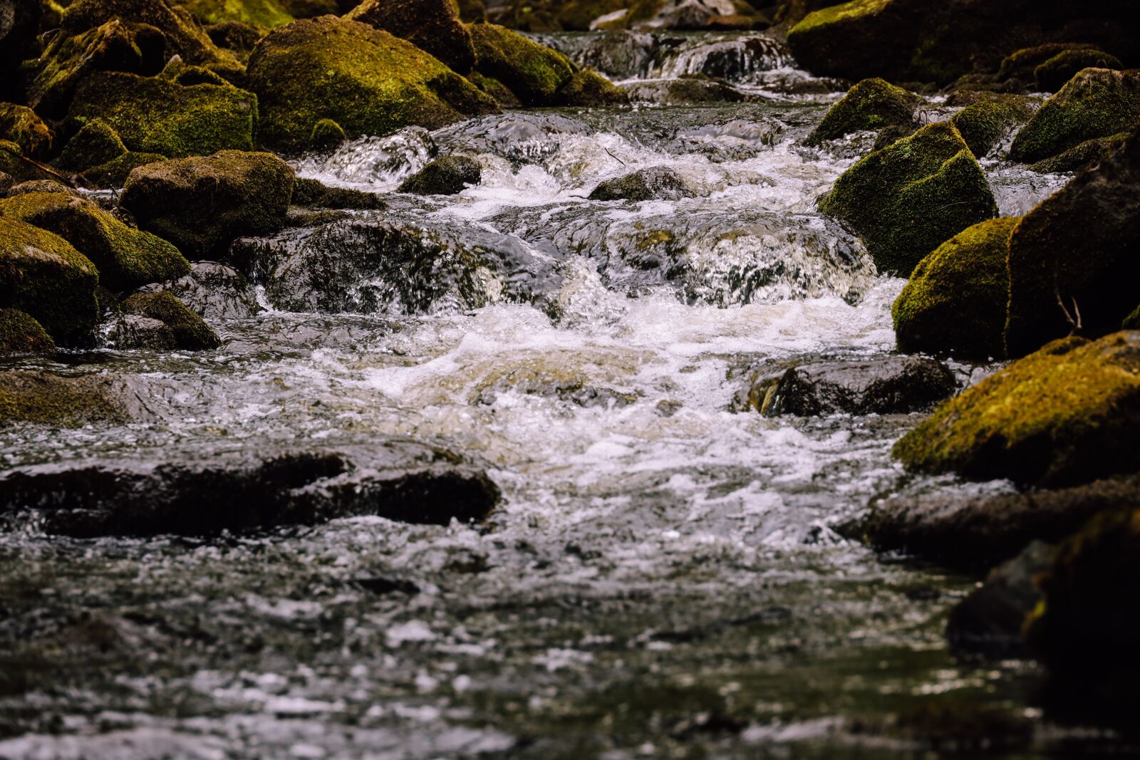 Canon EOS R sample photo. River, water, nature photography