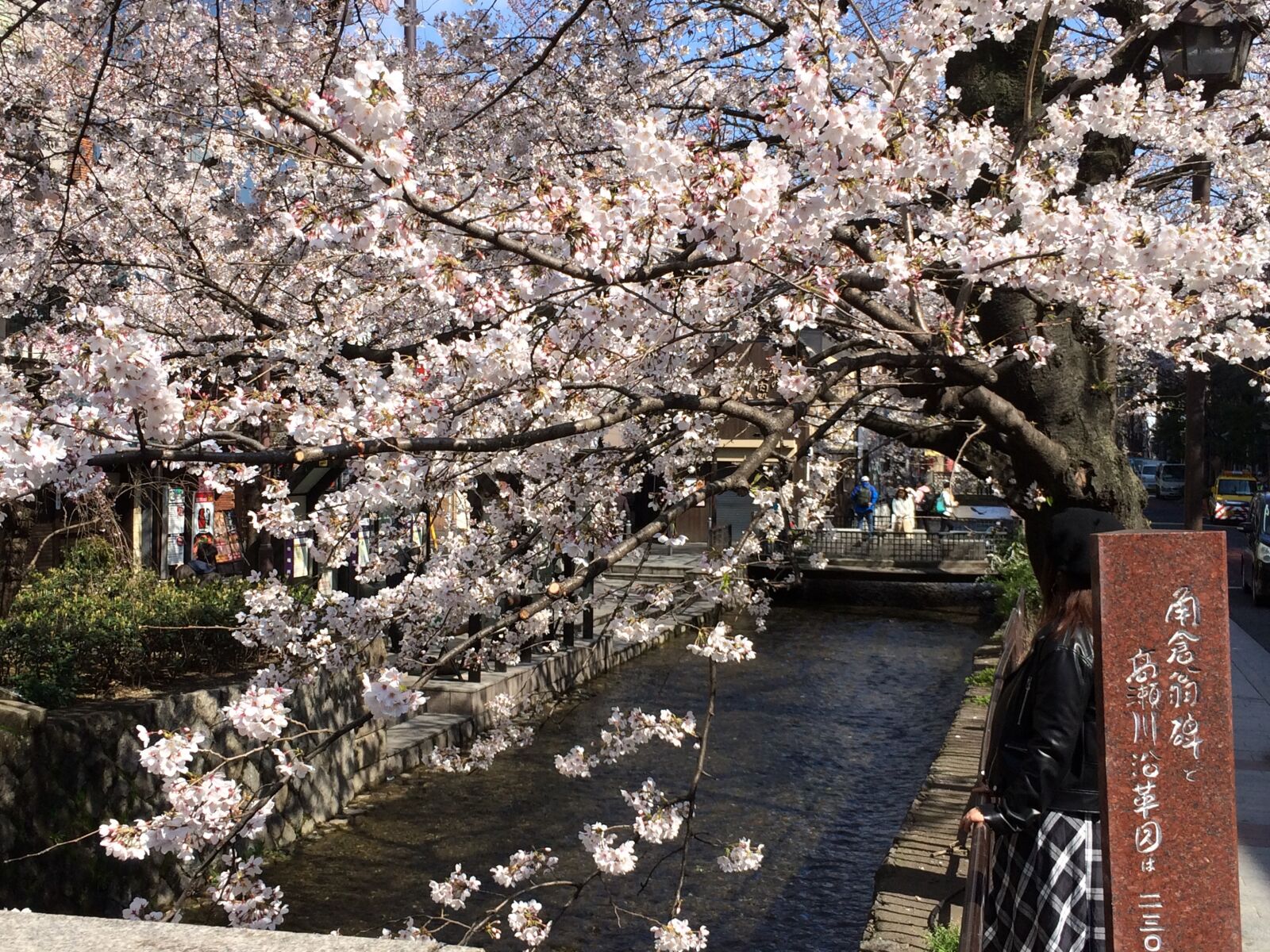 iPhone 5s back camera 4.15mm f/2.2 sample photo. Cherry blossom, canal, spring photography
