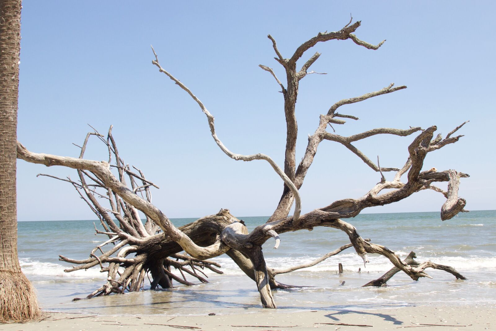 Canon EOS 70D + Canon EF 24-105mm F4L IS USM sample photo. Beach, edisto, south photography