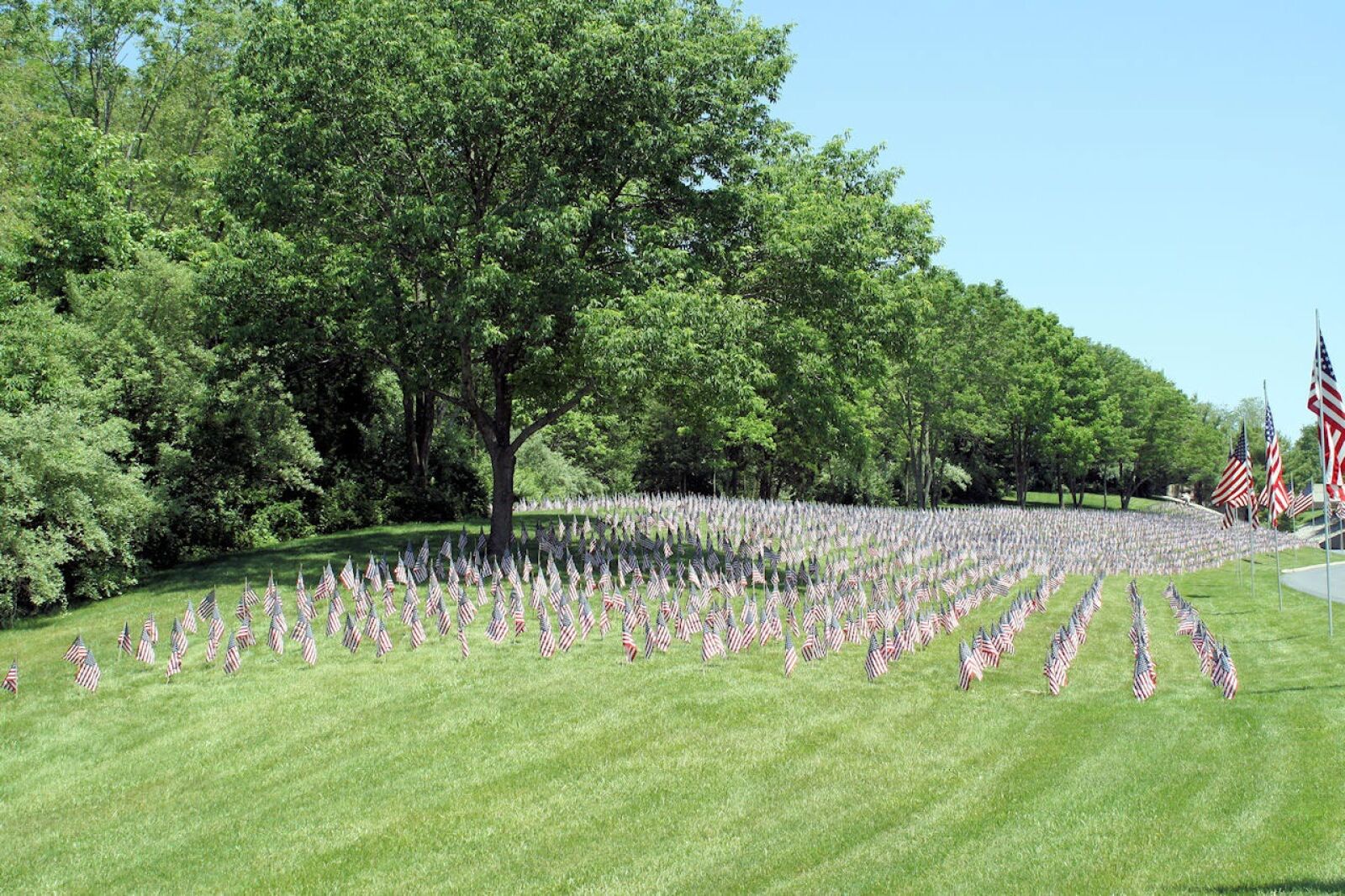 Canon EOS 1000D (EOS Digital Rebel XS / EOS Kiss F) sample photo. Flags, america, memorial photography