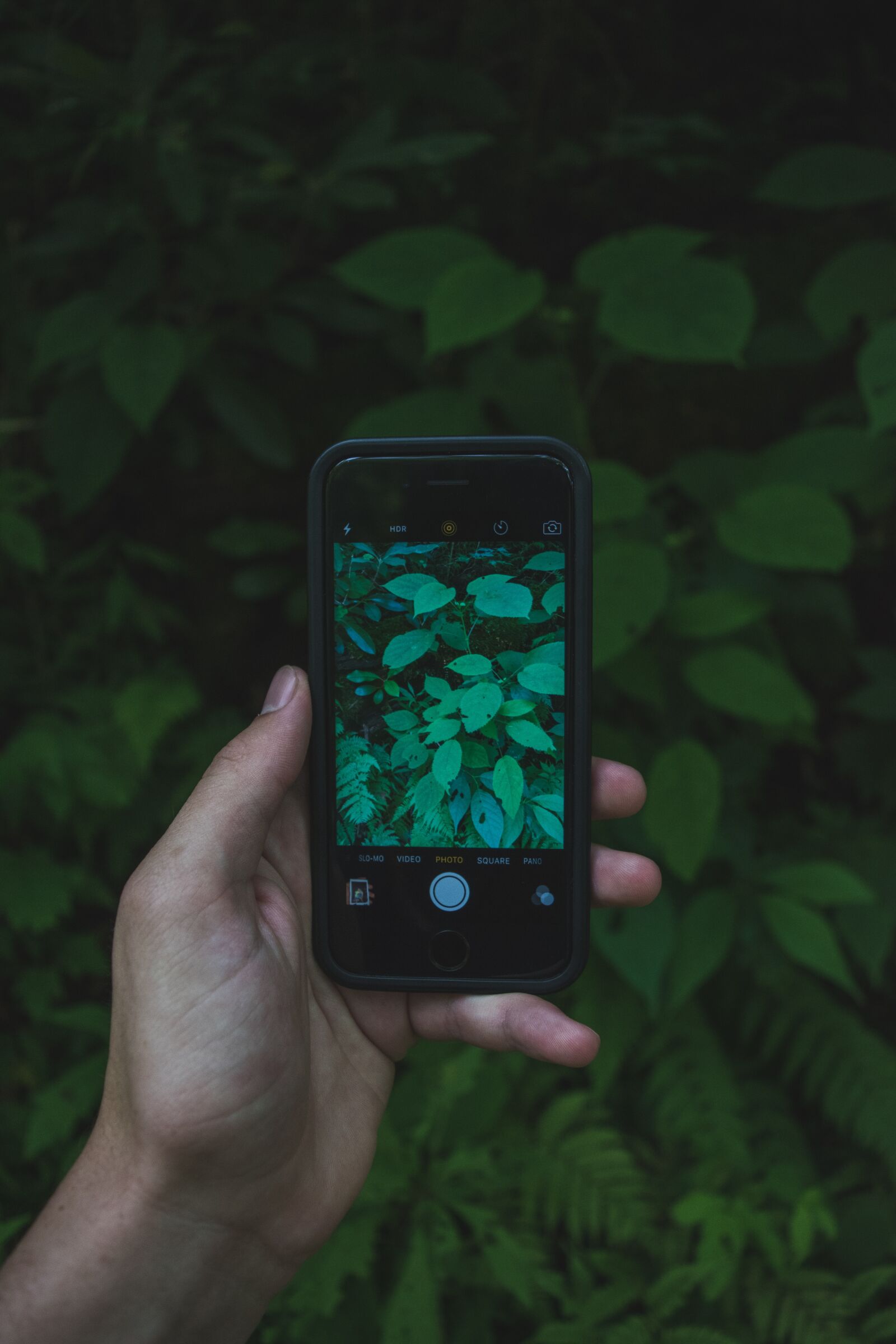 Nikon D5500 sample photo. Hand, iphone, leaves photography