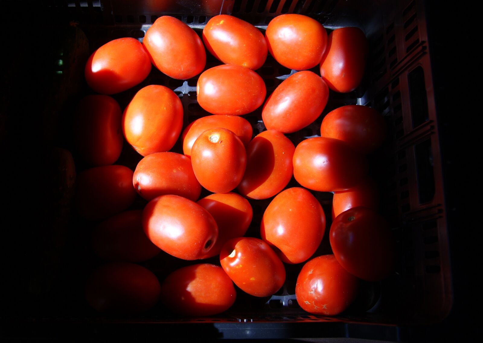 Sony Alpha DSLR-A330 sample photo. Vegetables, tomato, light photography