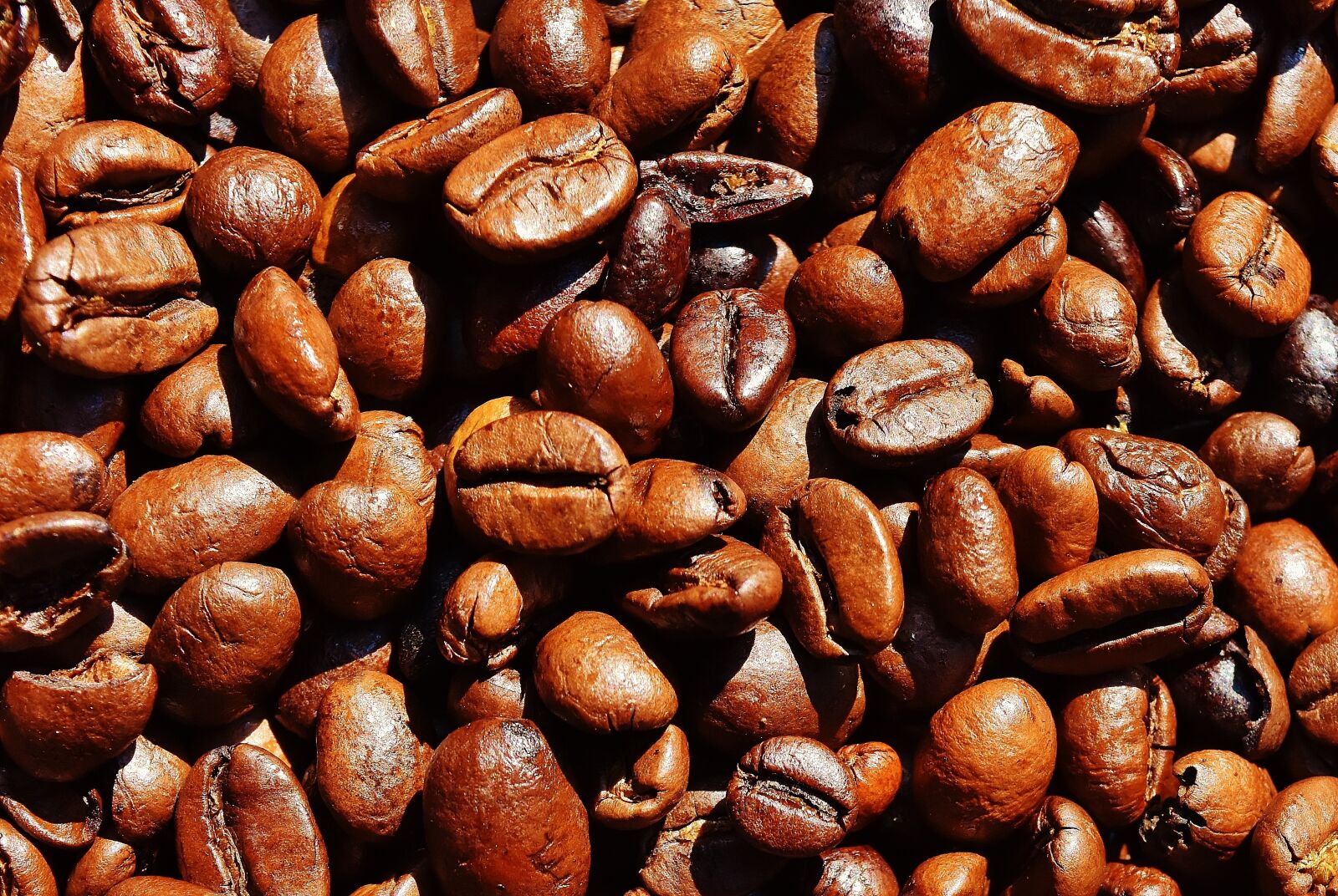 Nikon D7200 sample photo. Coffee, coffee beans, cafe photography
