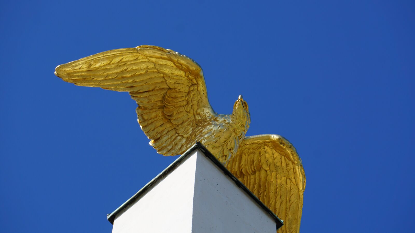 Sony E 55-210mm F4.5-6.3 OSS sample photo. Gold, adler, golden photography