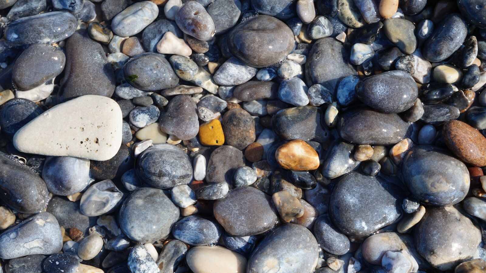 Sony Alpha a5000 (ILCE 5000) sample photo. Background, nature, texture photography