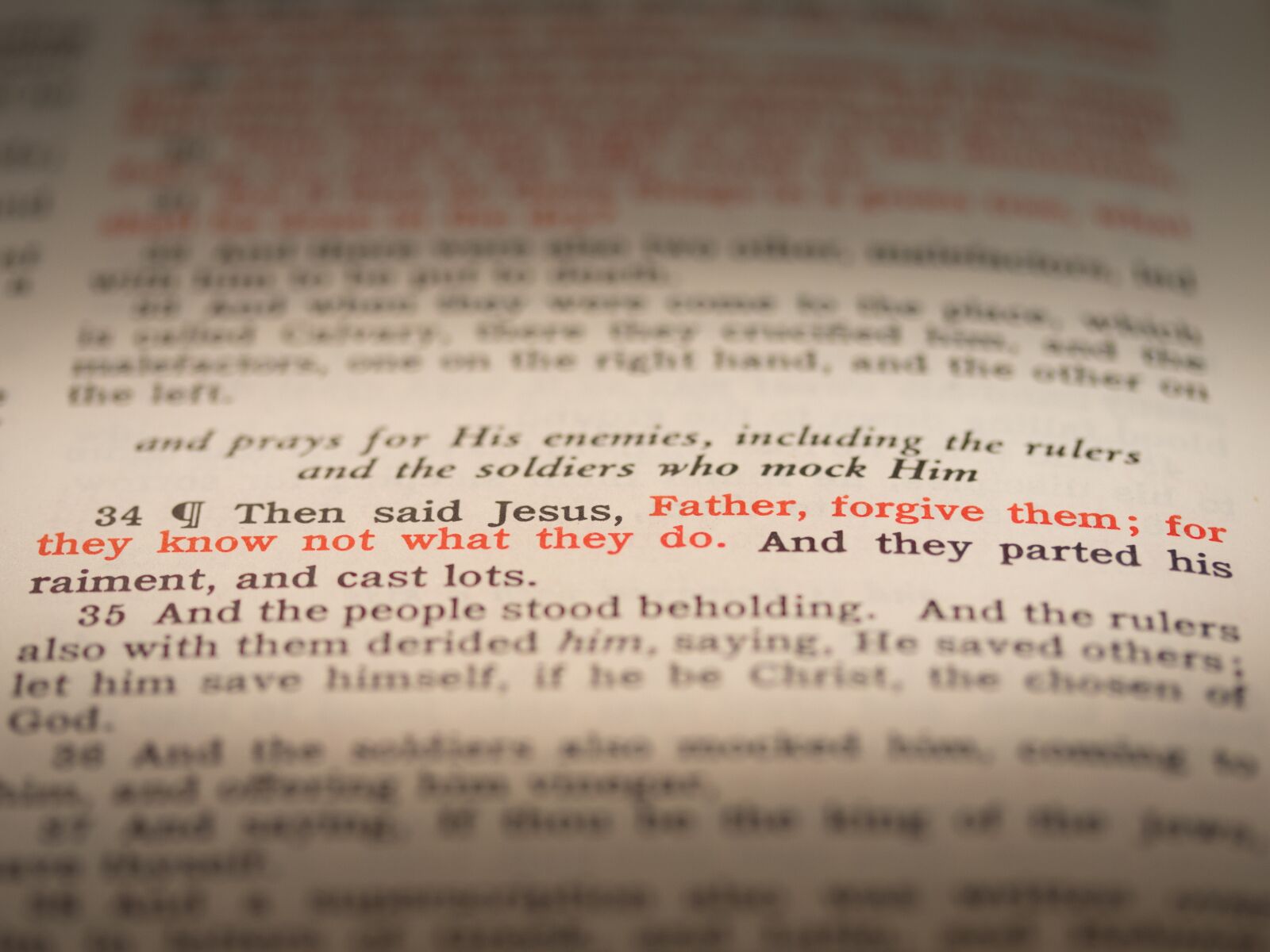Canon EF-S 60mm F2.8 Macro USM sample photo. Seven last words of photography
