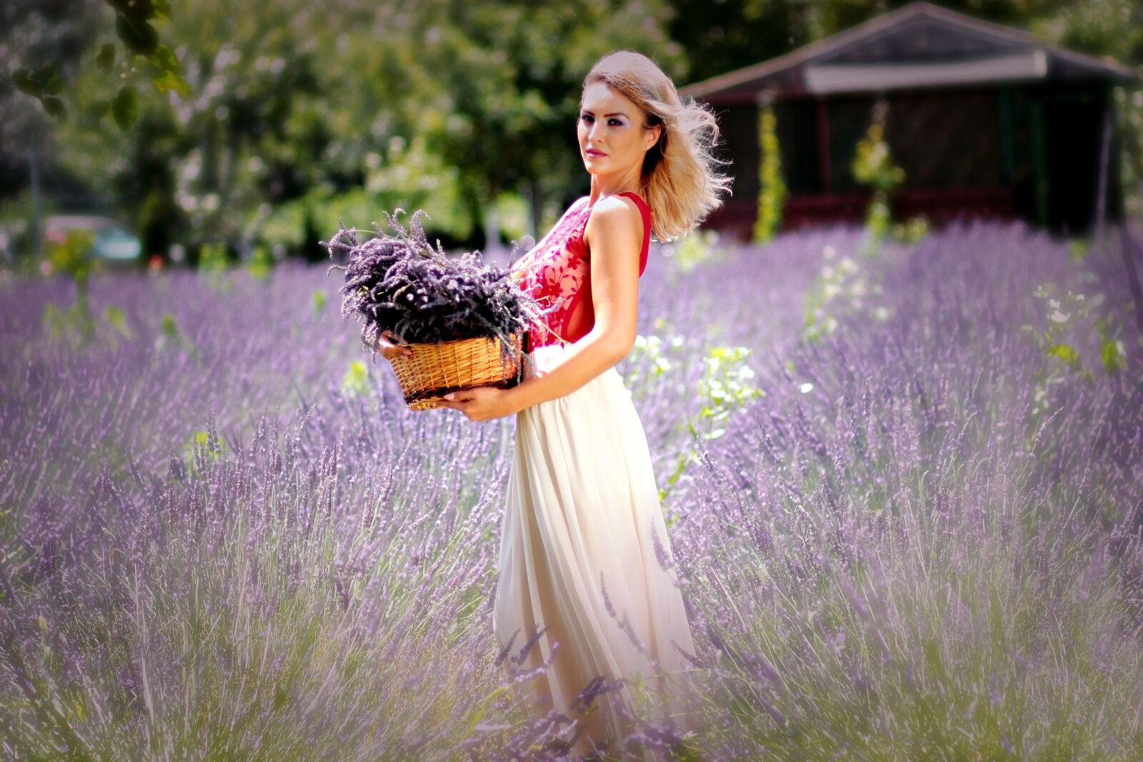 Canon EOS 450D (EOS Rebel XSi / EOS Kiss X2) sample photo. Girl, lavender, mov photography