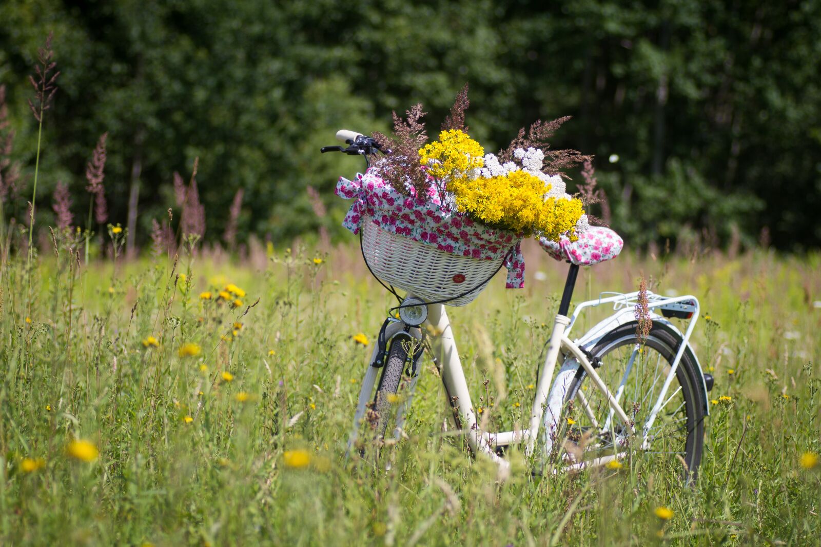 Tamron SP 90mm F2.8 Di VC USD 1:1 Macro sample photo. Bicycle, summer, basket photography