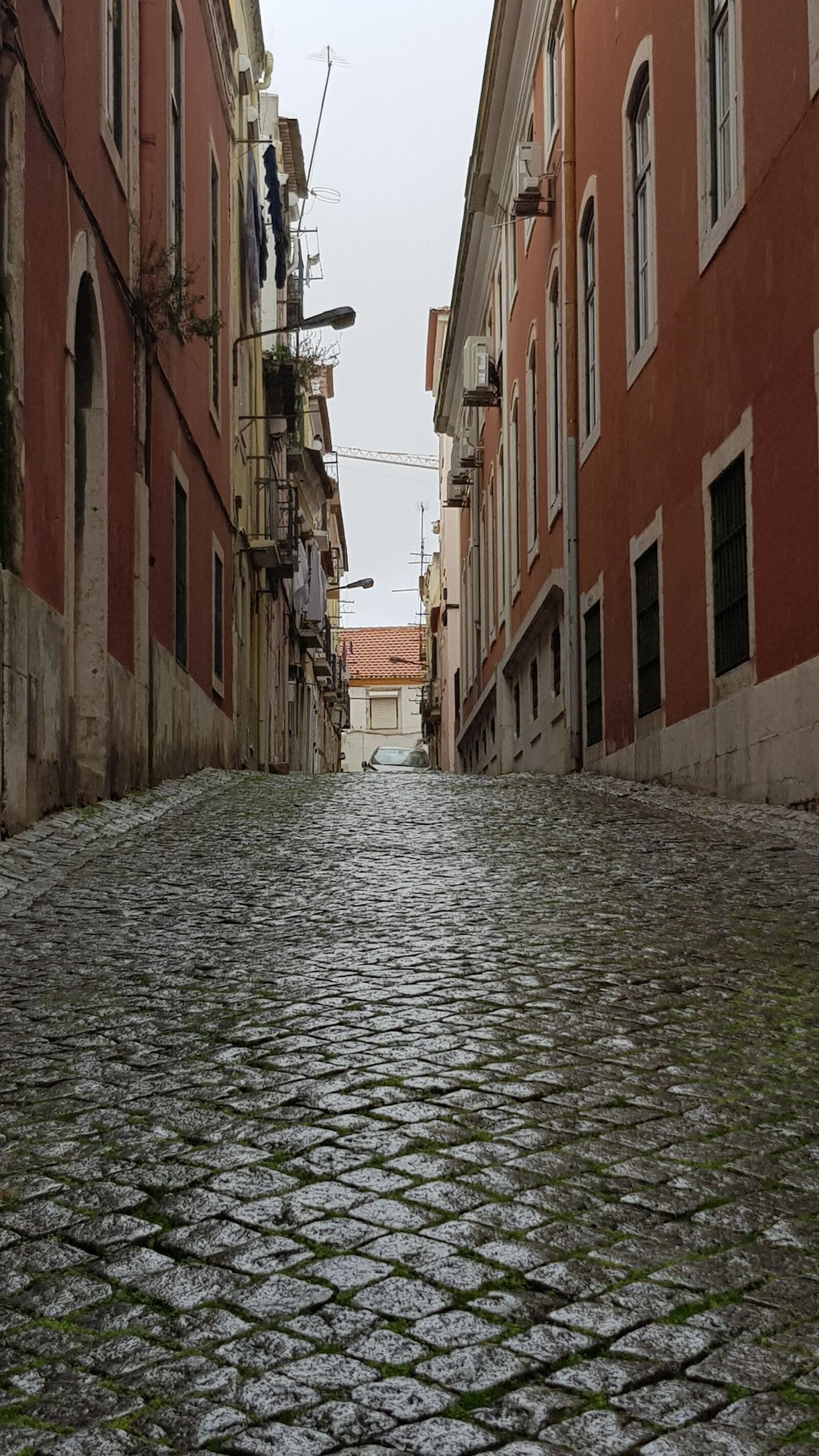 Samsung Galaxy S8 sample photo. Characteristic, lisbon, rose photography