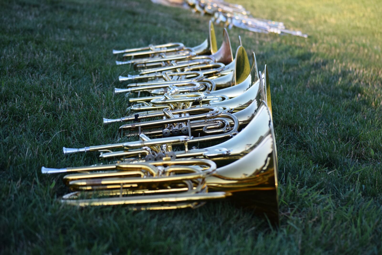 Nikon D3300 sample photo. Music, musical instruments, horns photography