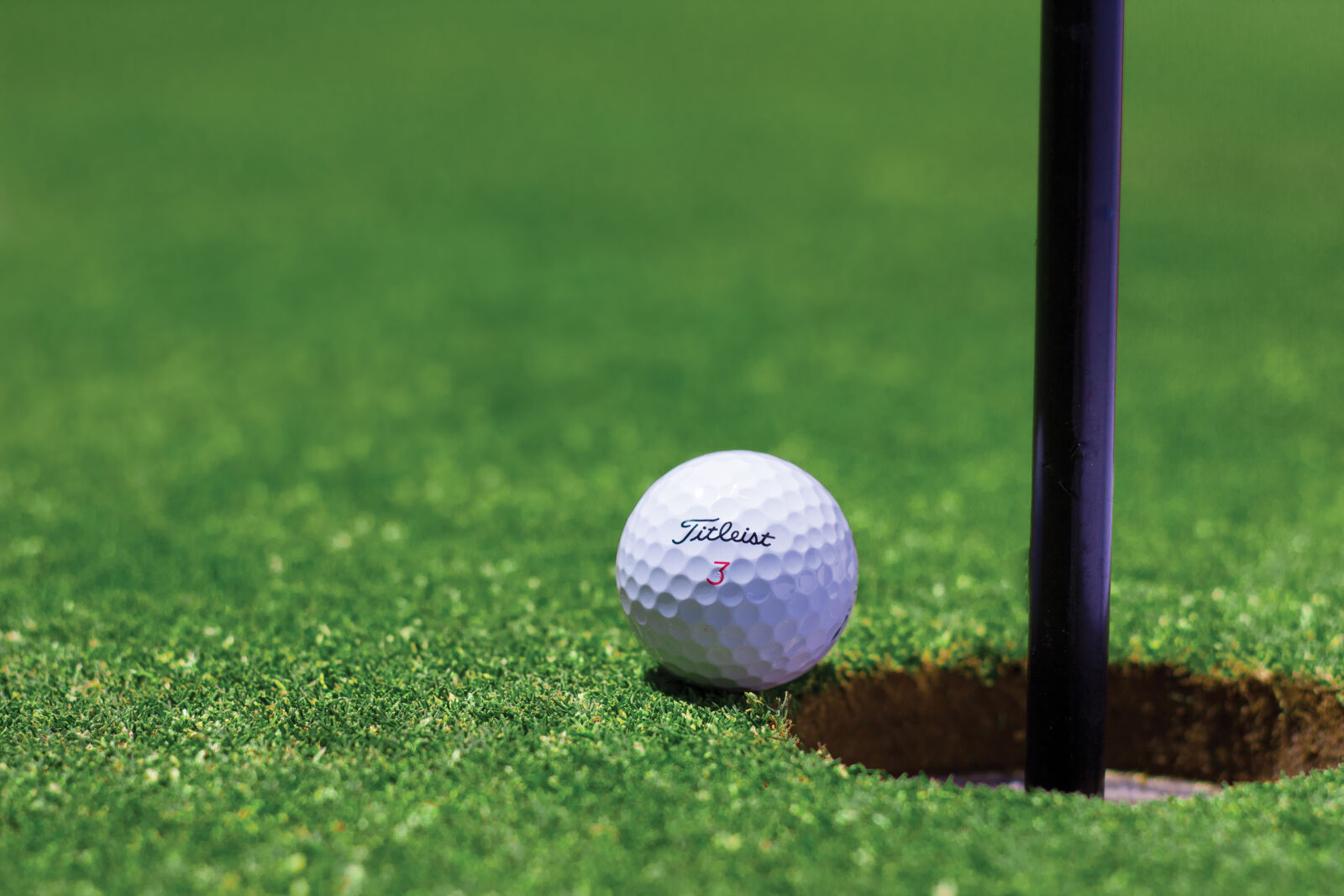 Canon EOS 60D + Canon EF 50mm F1.8 II sample photo. Grass, green, golf, golf photography
