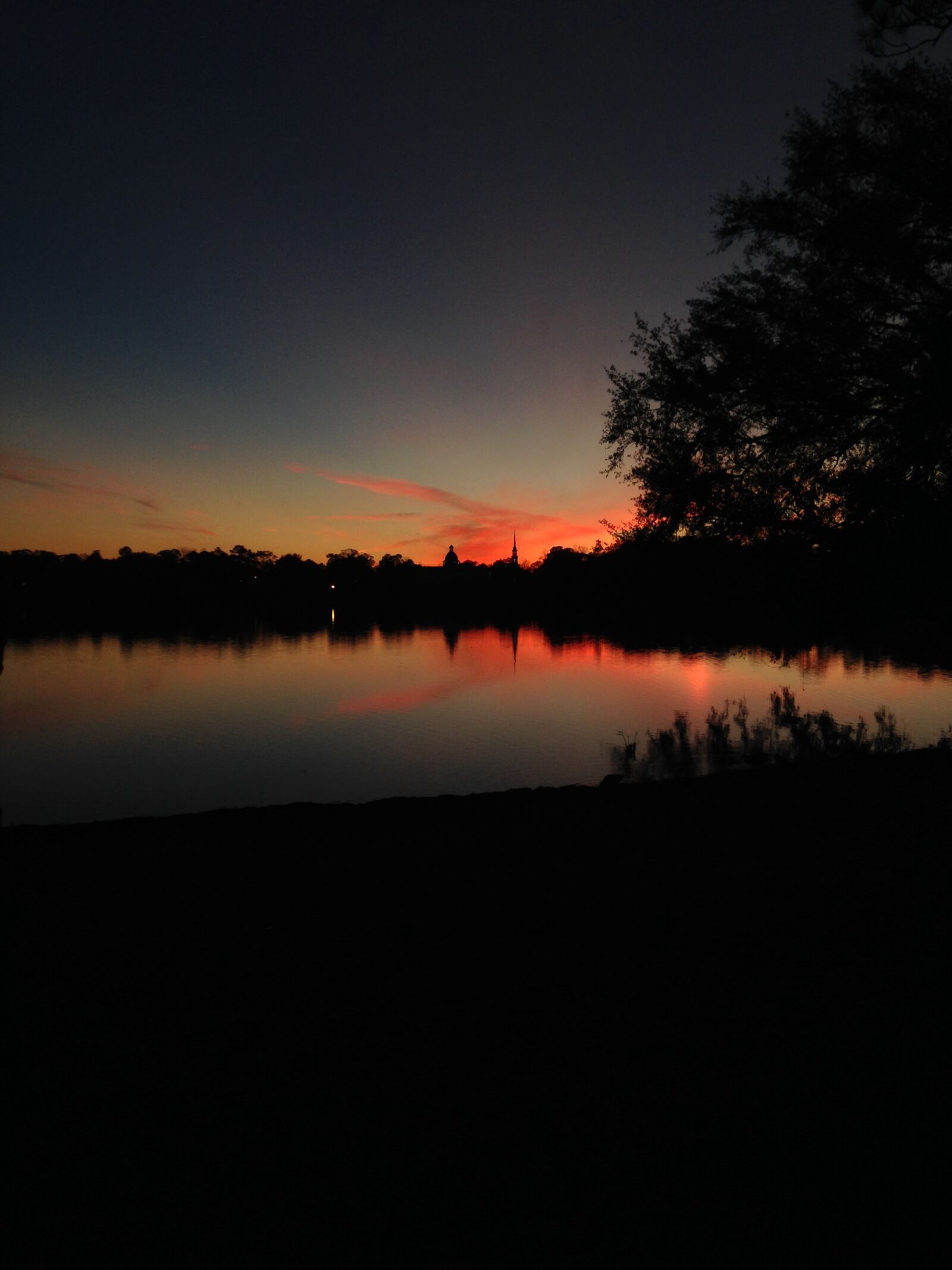 iPhone 5c back camera 4.12mm f/2.4 sample photo. Lake, sunset, florida photography