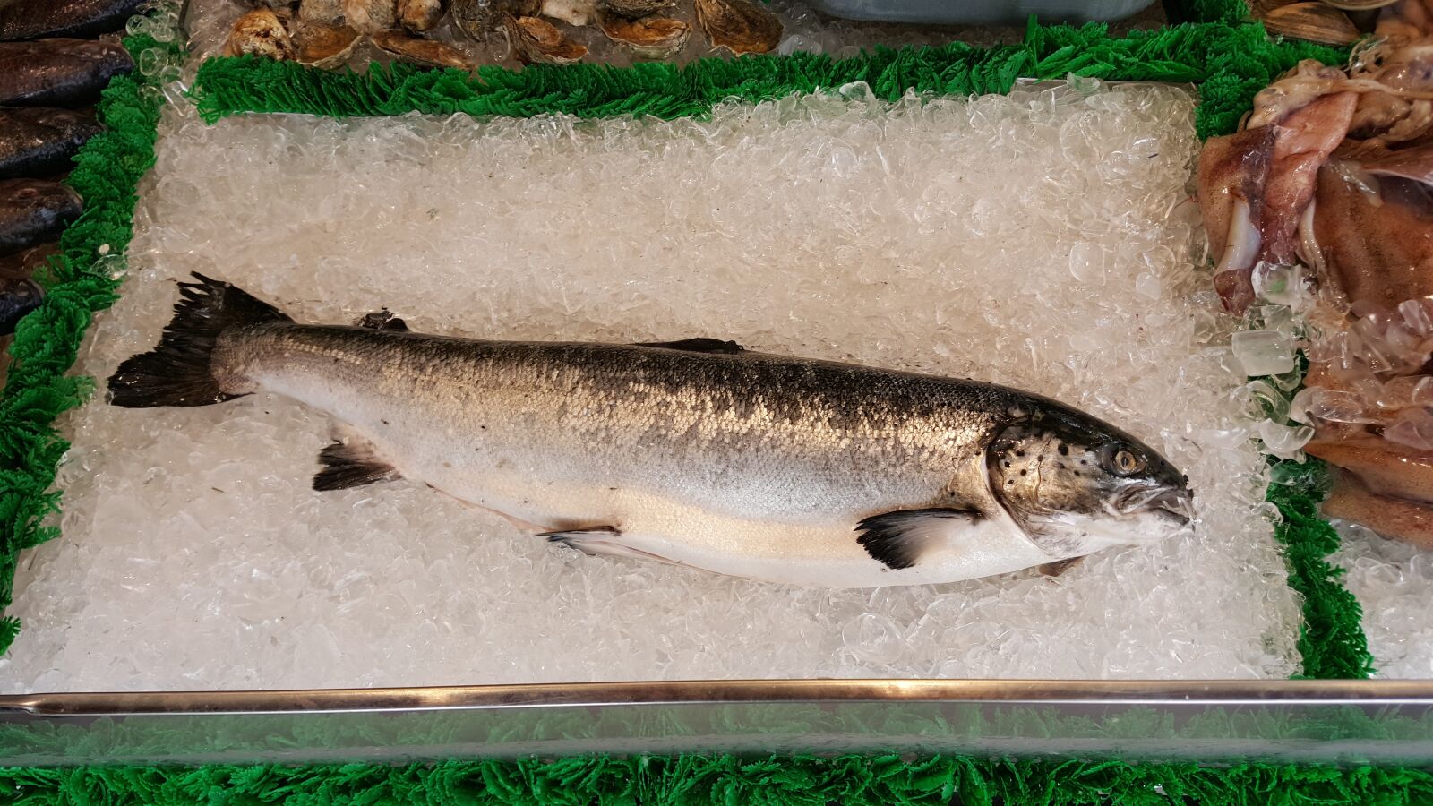 Samsung Galaxy S6 sample photo. Salmon, whole fish, market photography