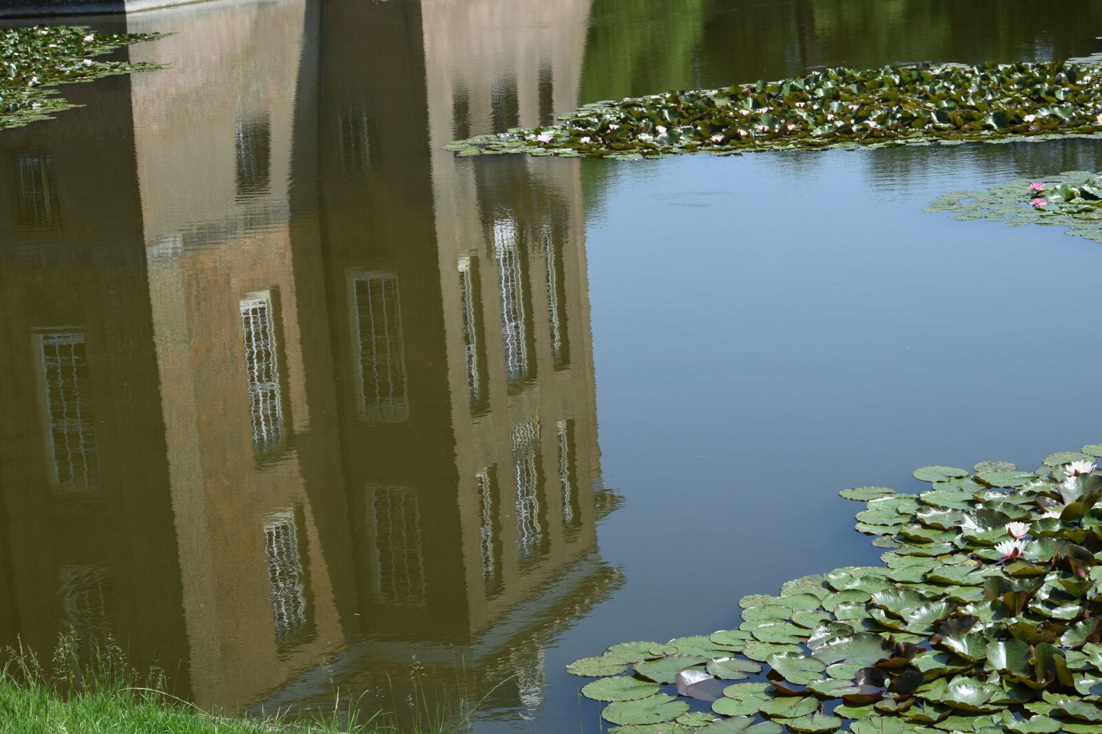 Nikon D5300 sample photo. Castle, reflection, water plants photography