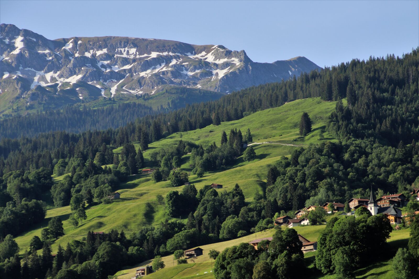 Canon EOS 80D sample photo. Panorama, landscape, green photography