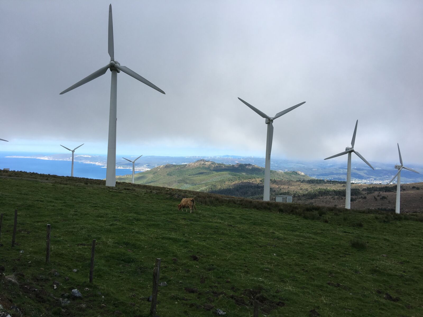 iPhone 6s Plus back camera 4.15mm f/2.2 sample photo. Windmills, air, sea photography