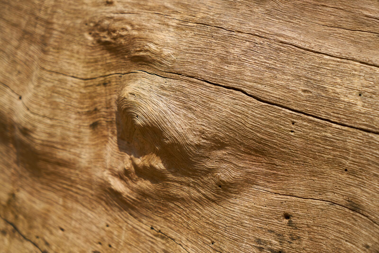 Sony a7R II sample photo. Wood-fibre boards, tree, wood photography